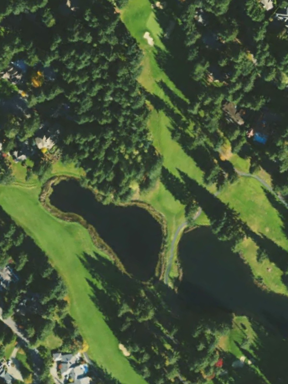 Hole 10 satellite
