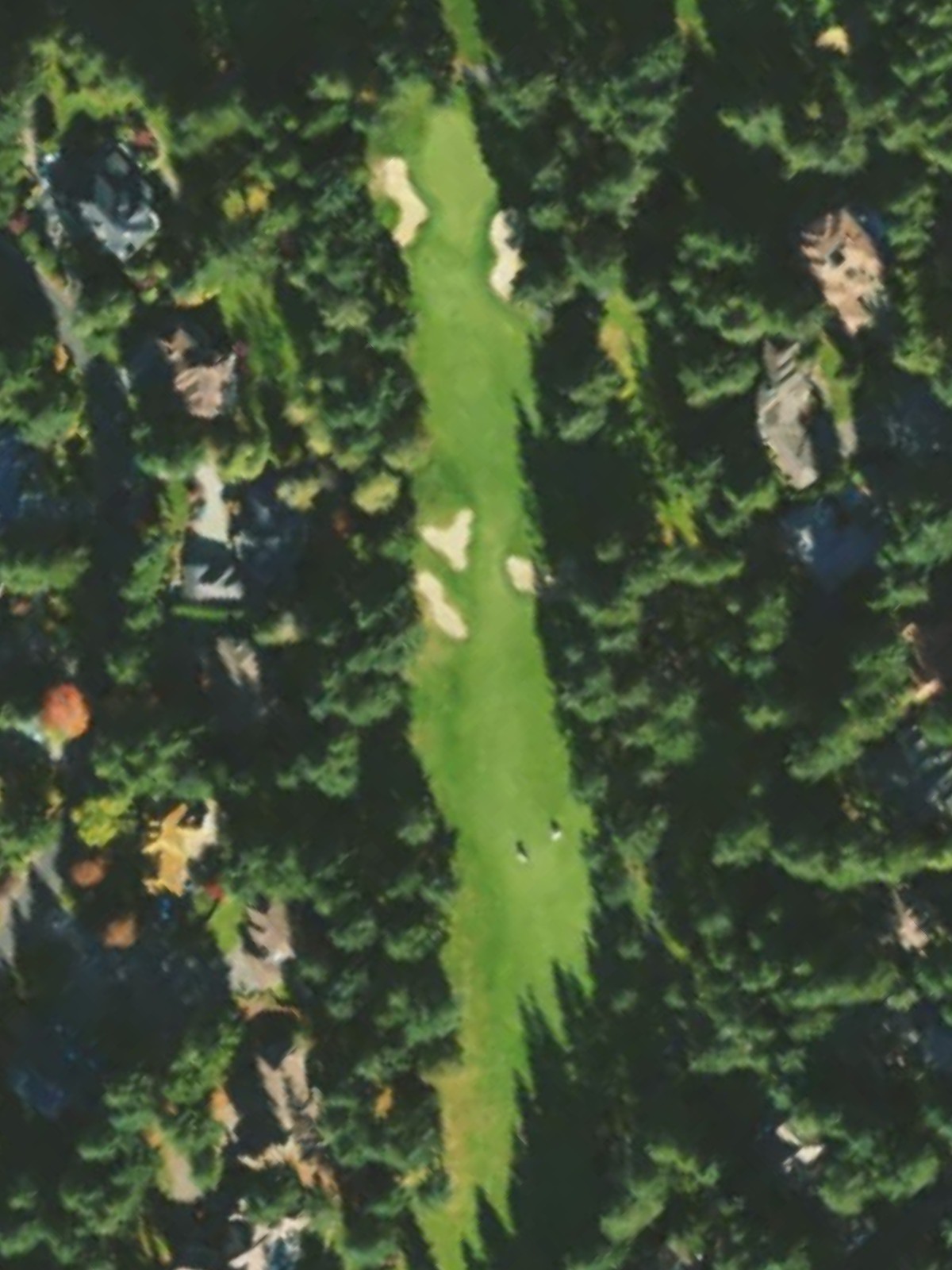Hole 11 satellite