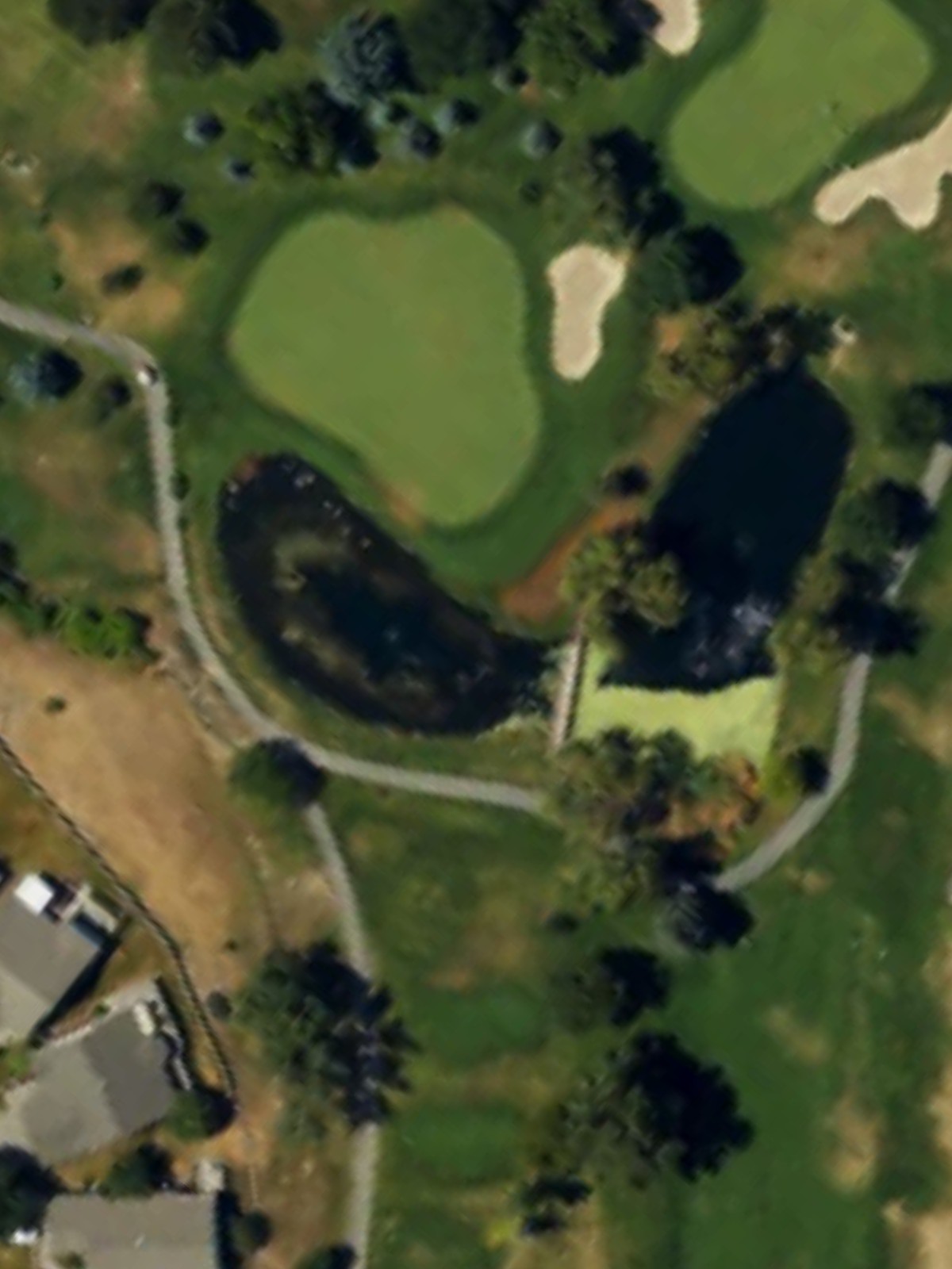 Hole 12 satellite