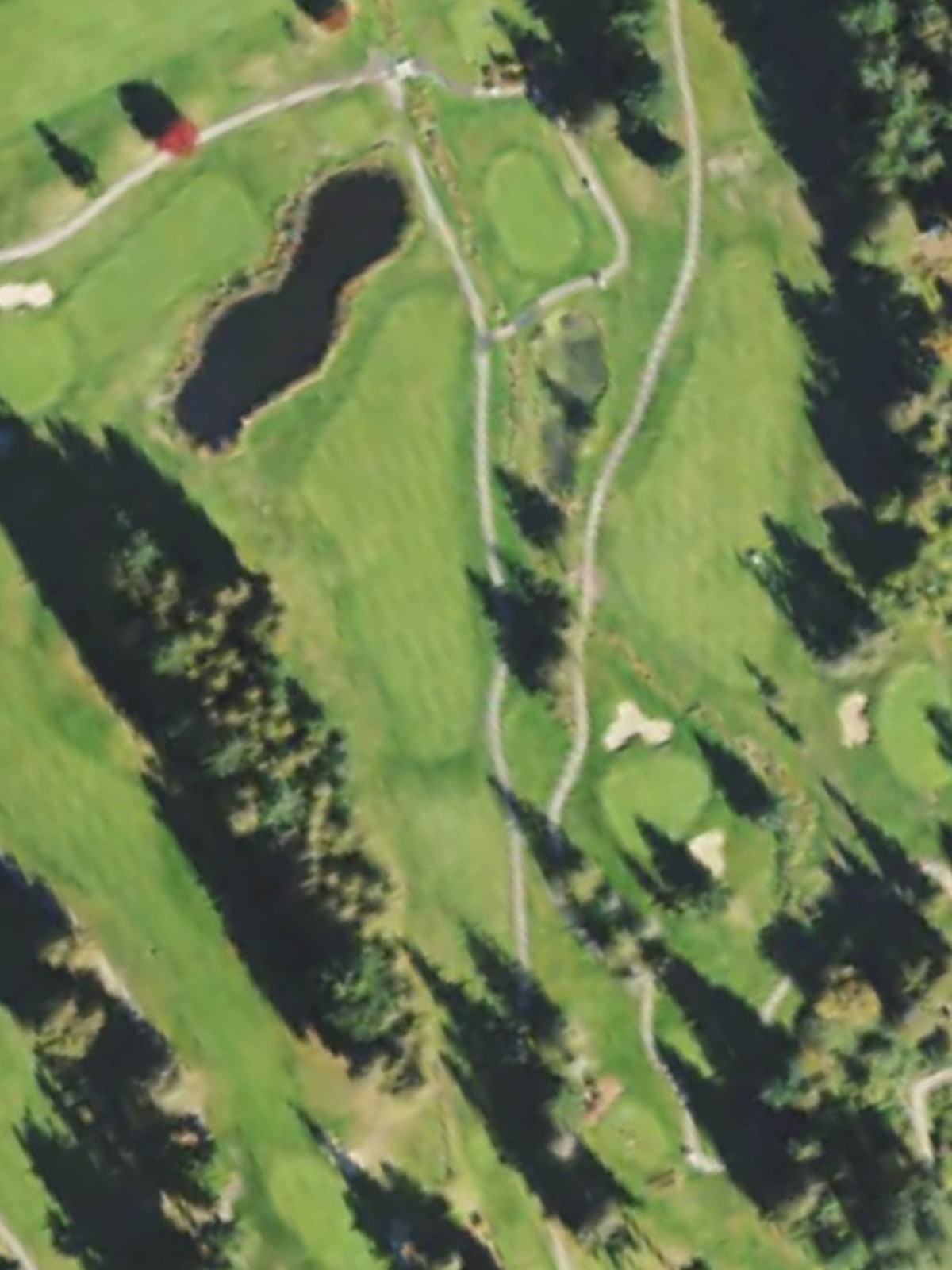 Hole 15 satellite