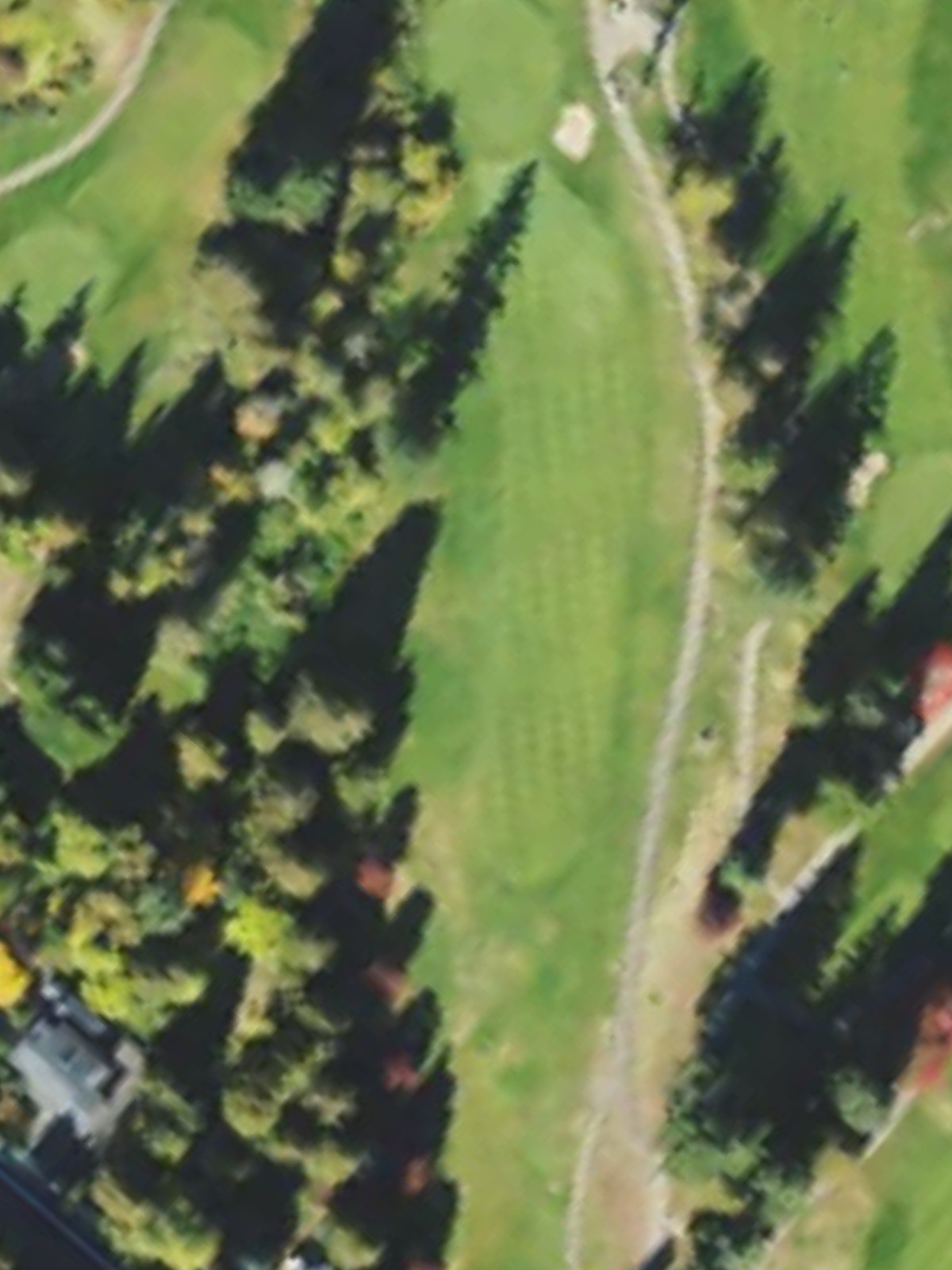 Hole 6 satellite