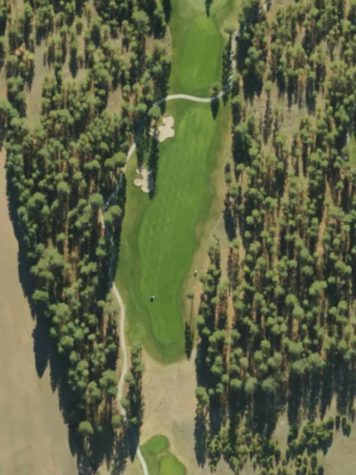 Hole 15 satellite