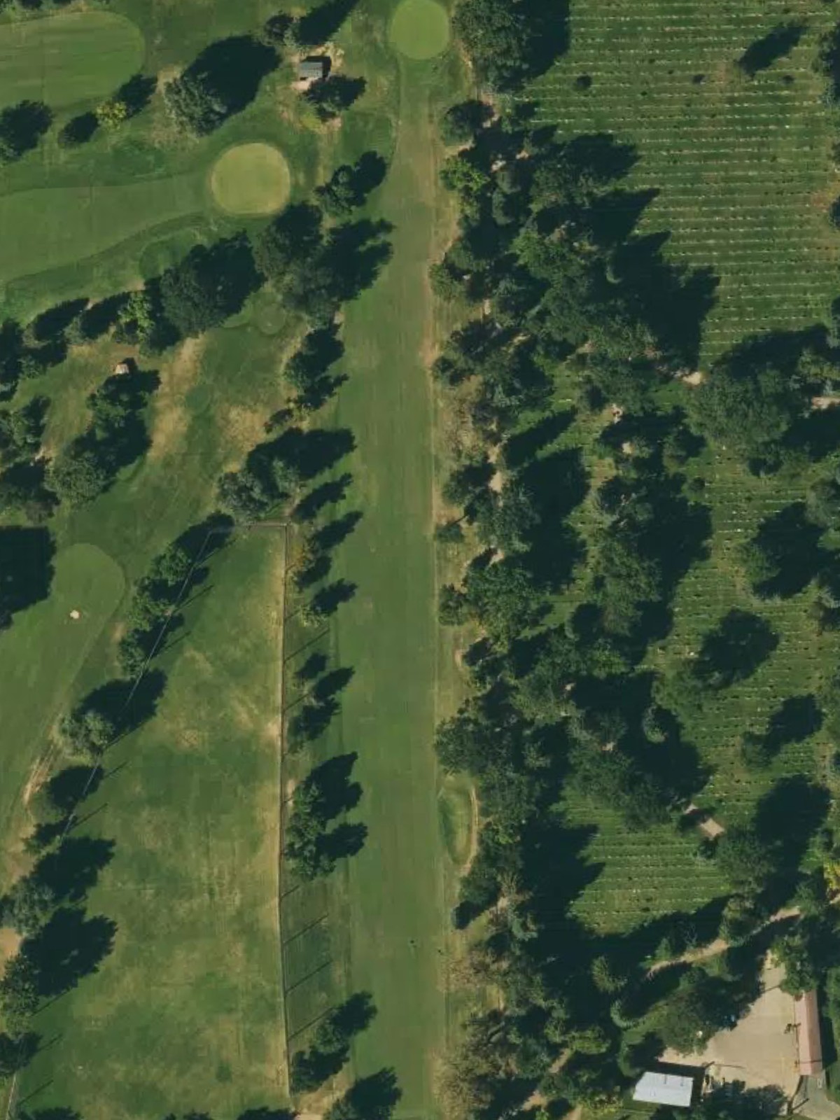 Hole 4 satellite