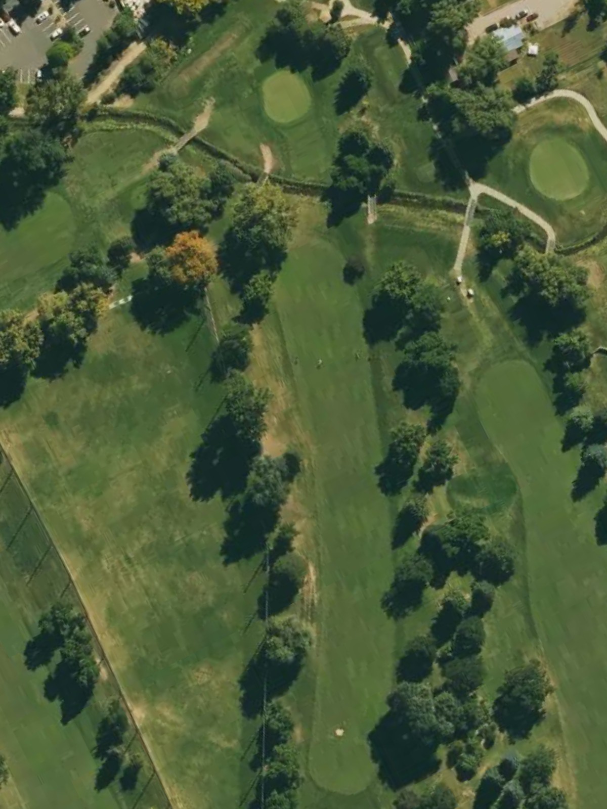 Hole 8 satellite