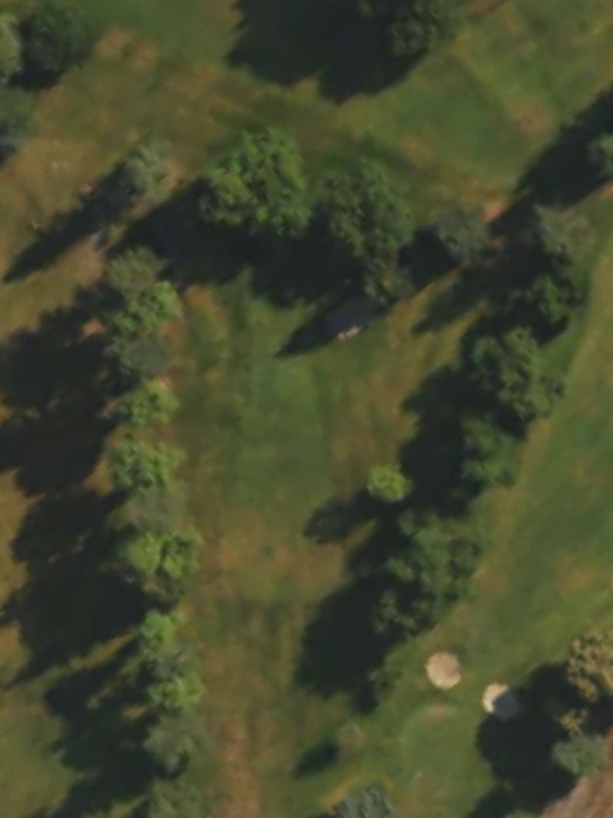 Hole 4 satellite