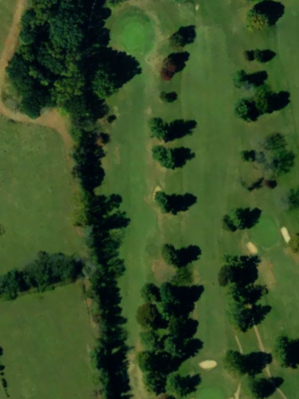 Hole 11 satellite