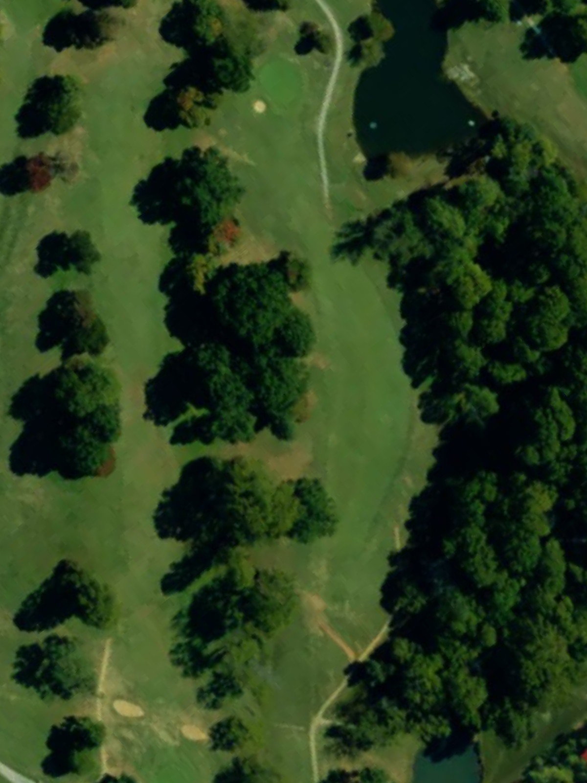 Hole 15 satellite