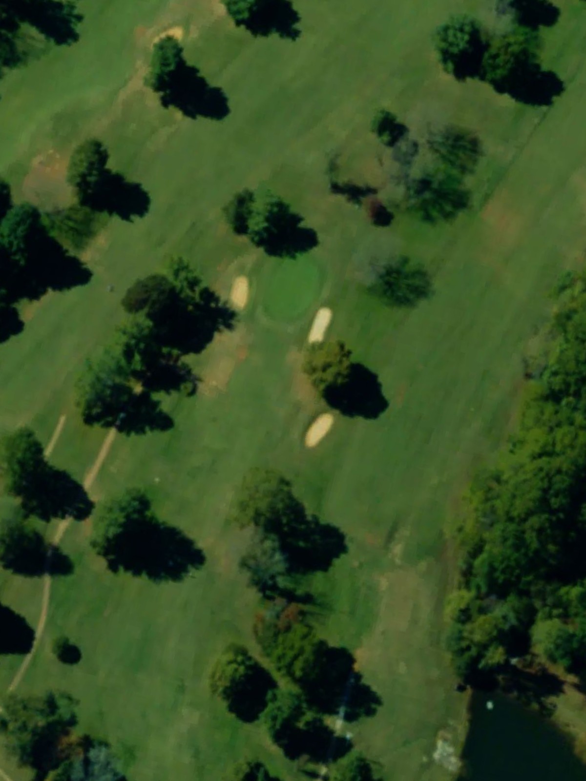 Hole 7 satellite