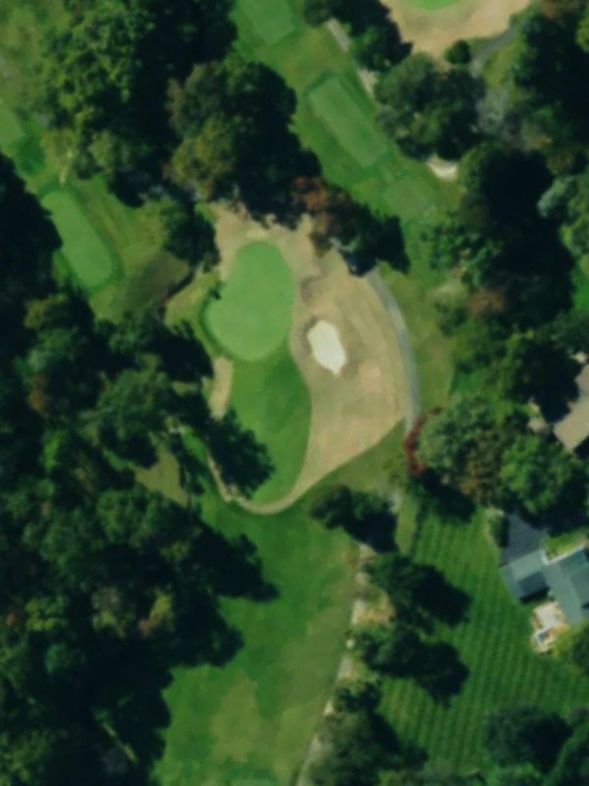 Hole 6 satellite