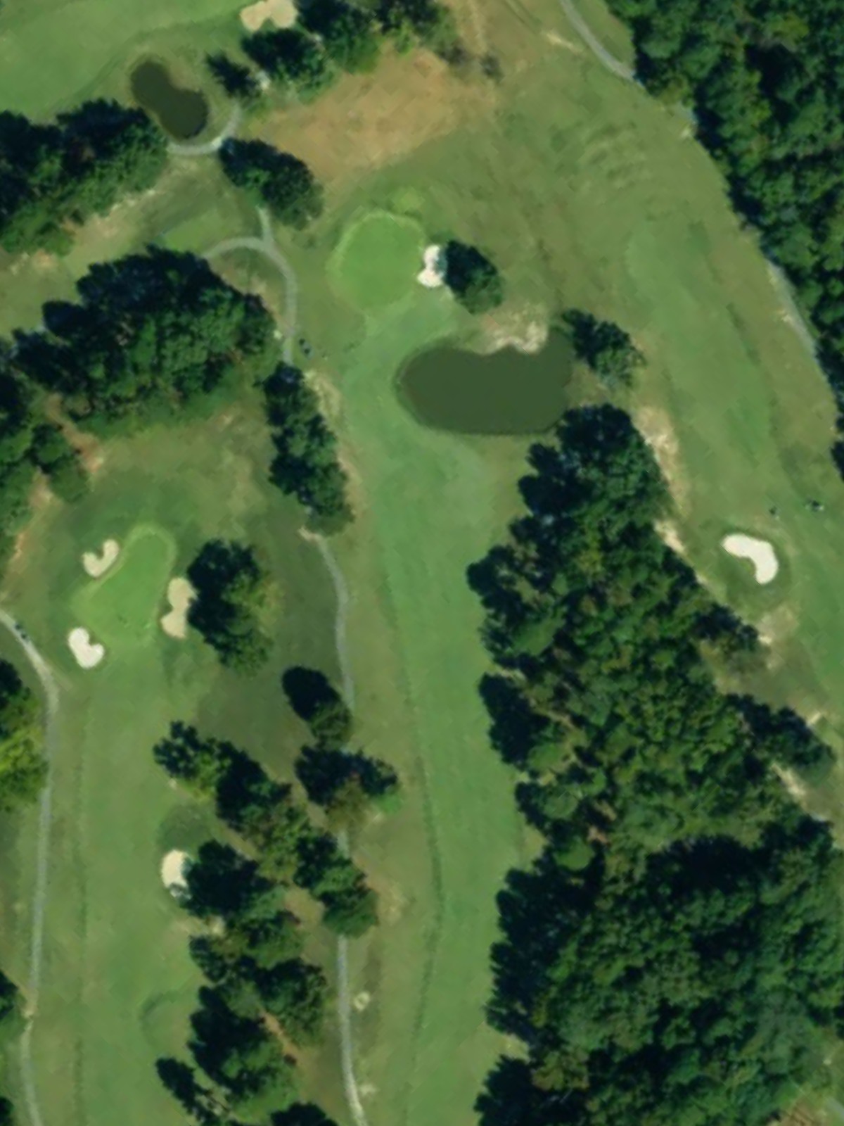 Hole 6 satellite