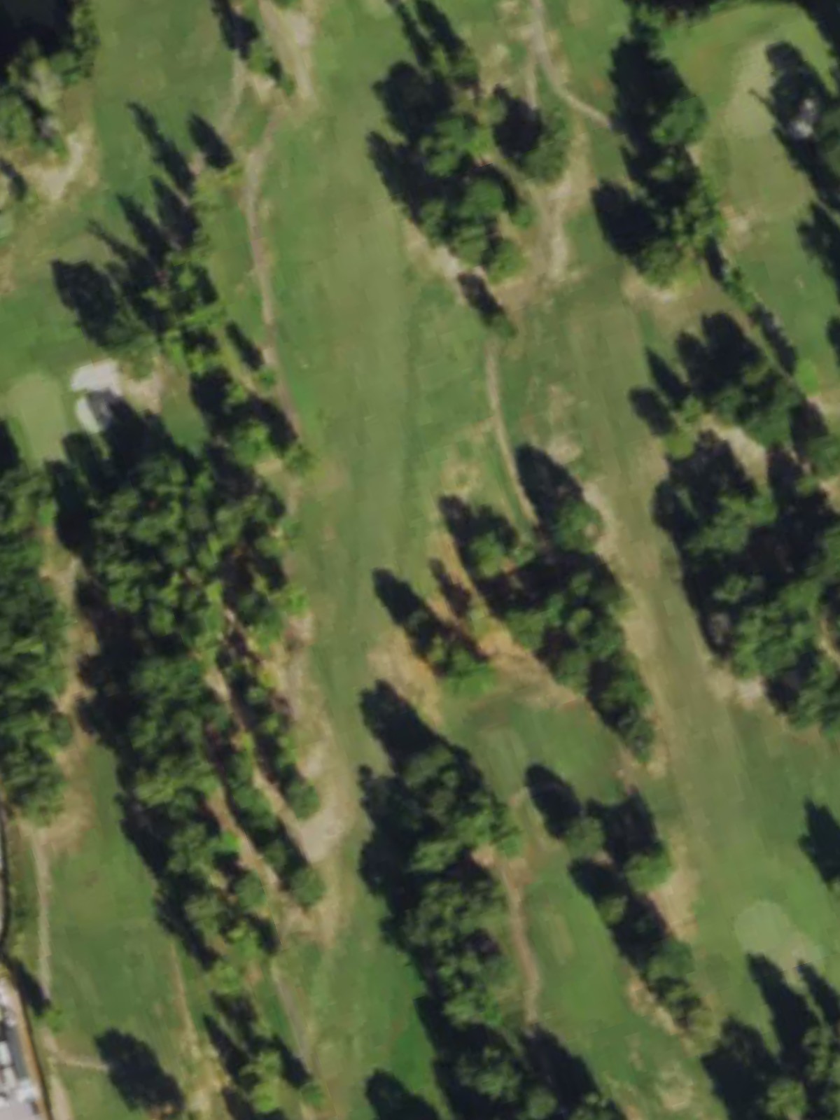 Hole 6 satellite