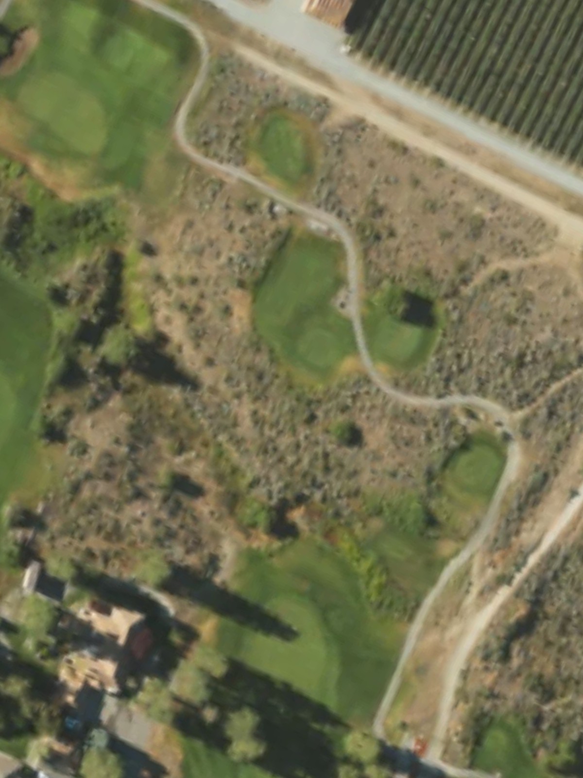 Hole 8 satellite