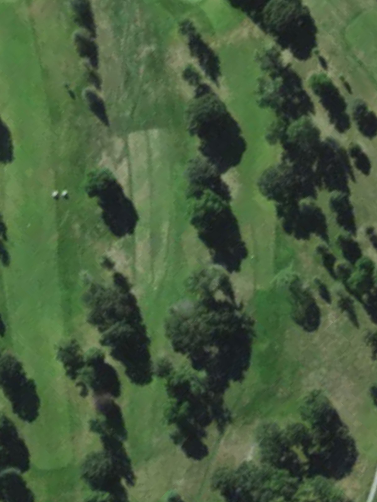 Hole 12 satellite
