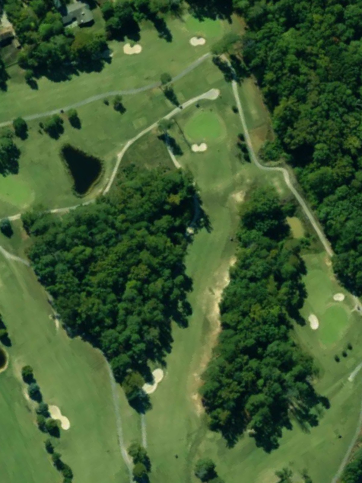 Hole 6 satellite