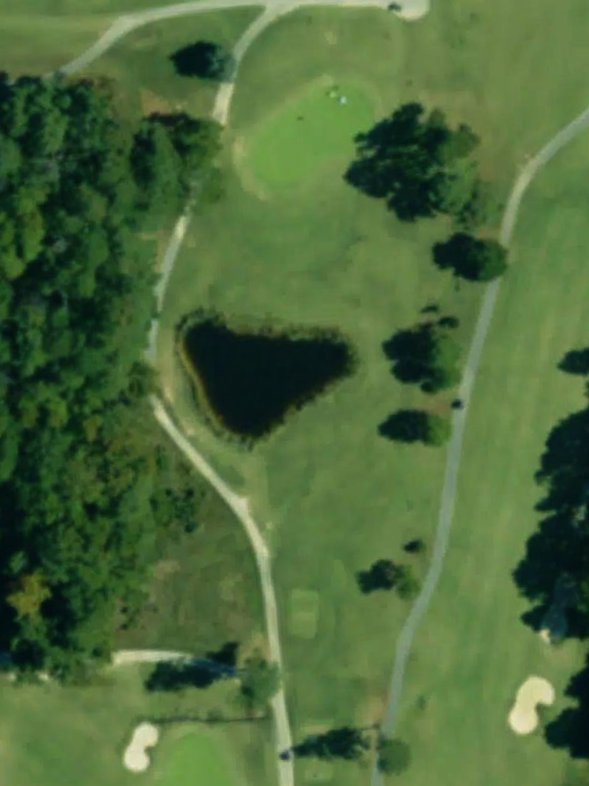 Hole 7 satellite