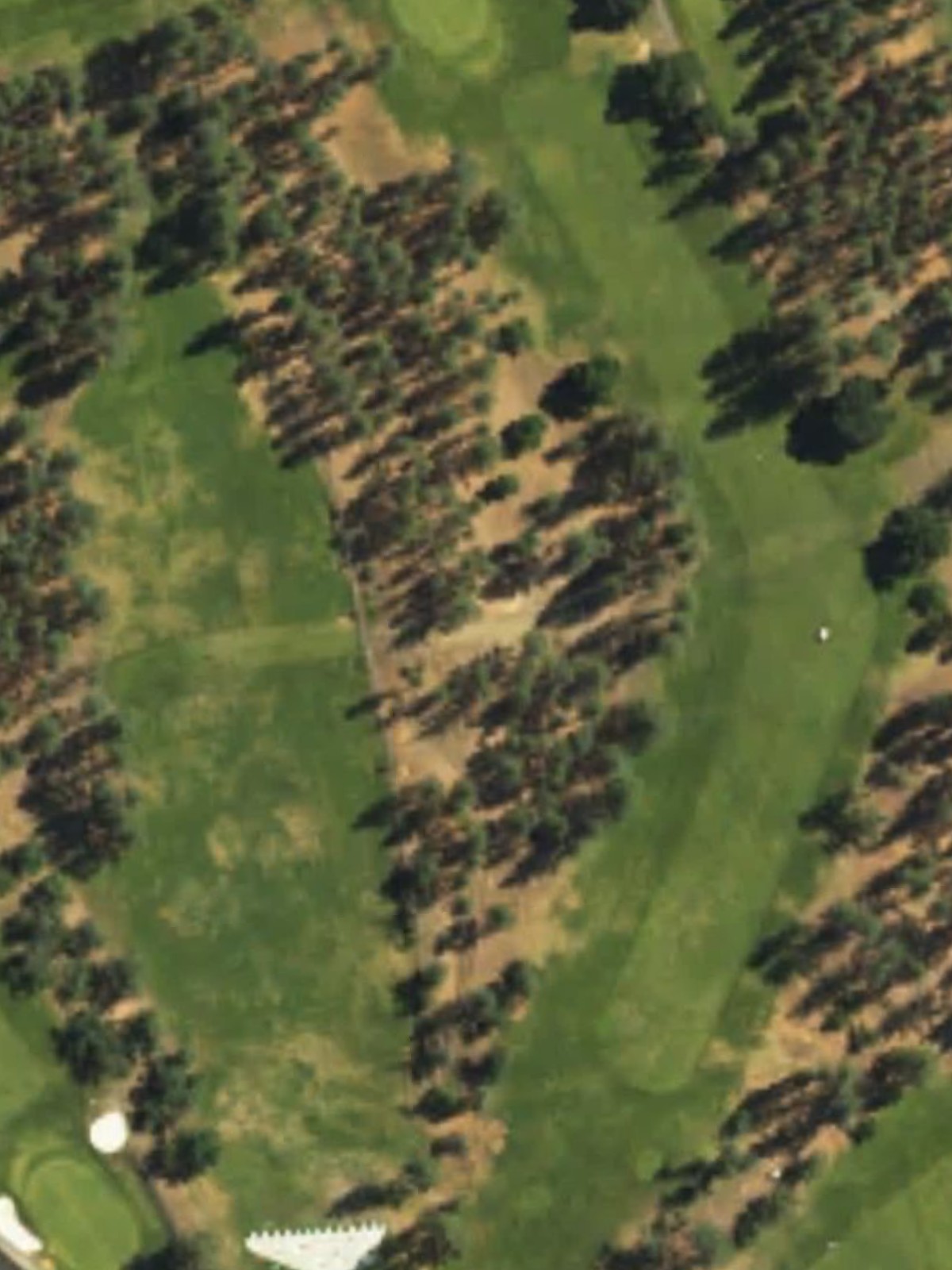 Hole 1 satellite