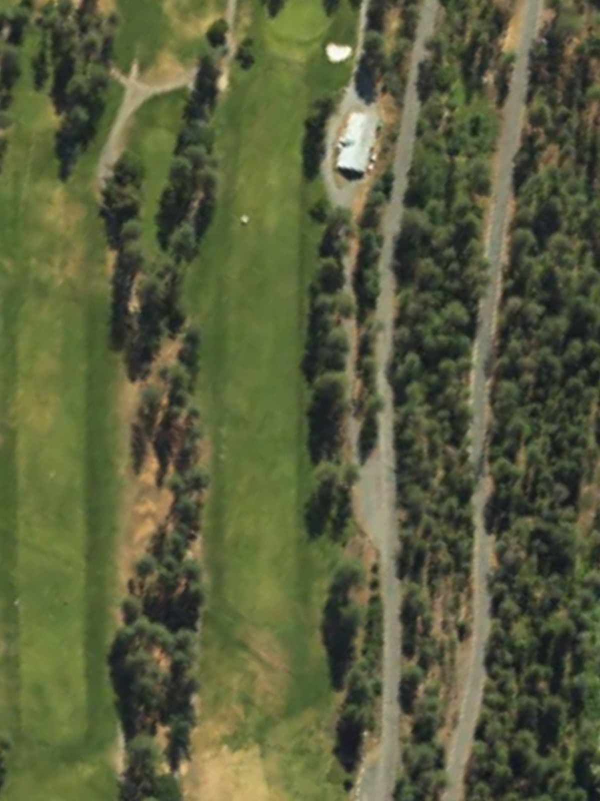 Hole 10 satellite