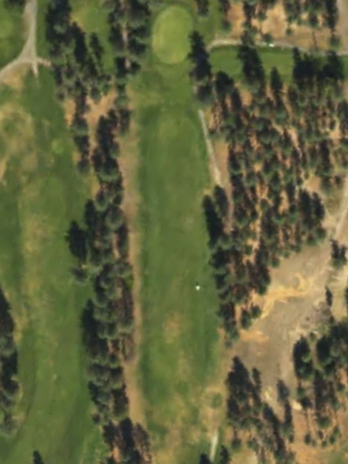 Hole 15 satellite