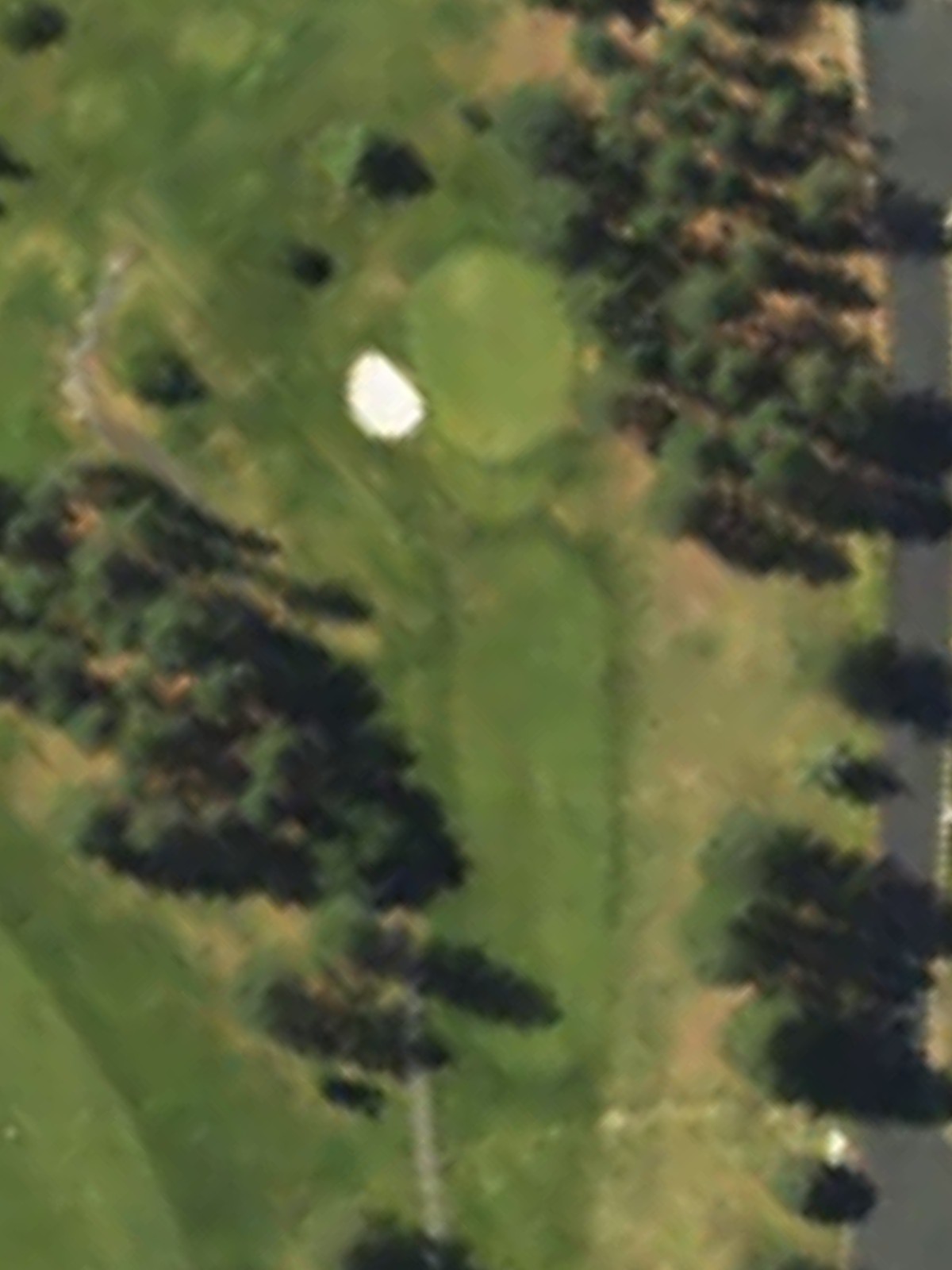 Hole 8 satellite