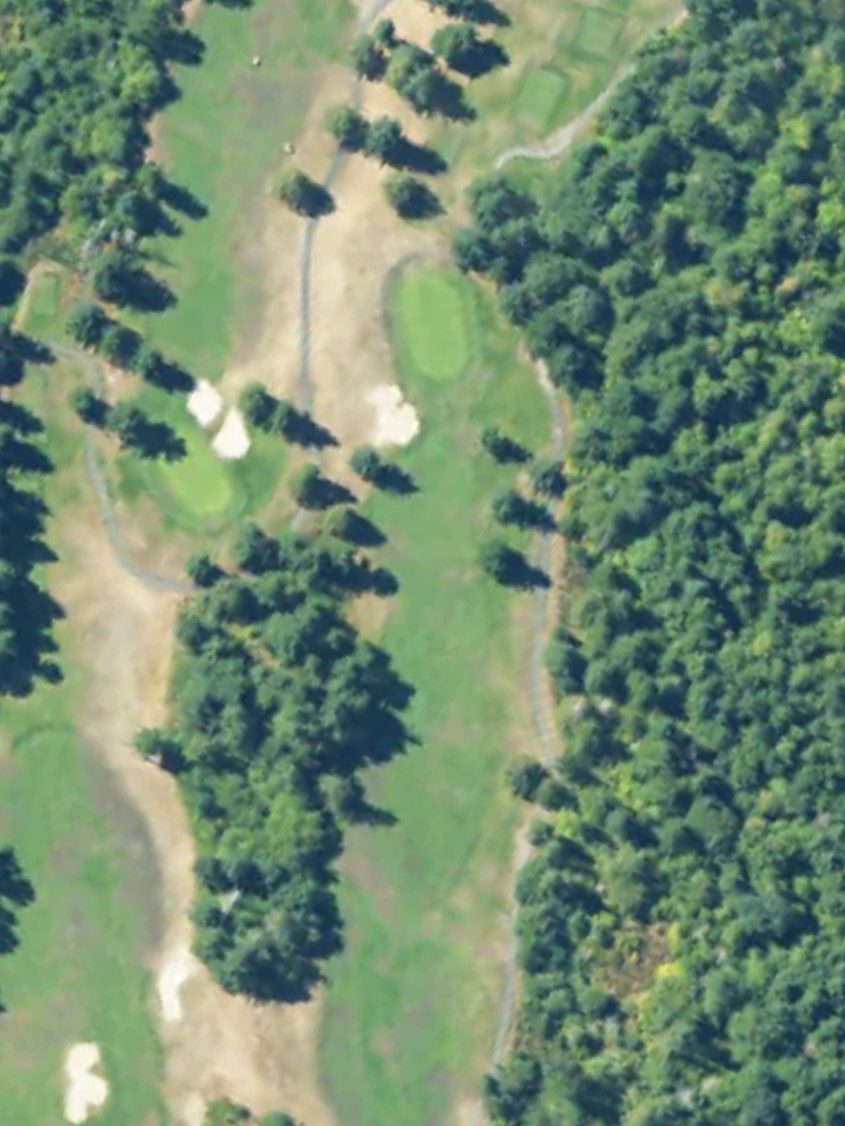 Hole 15 satellite