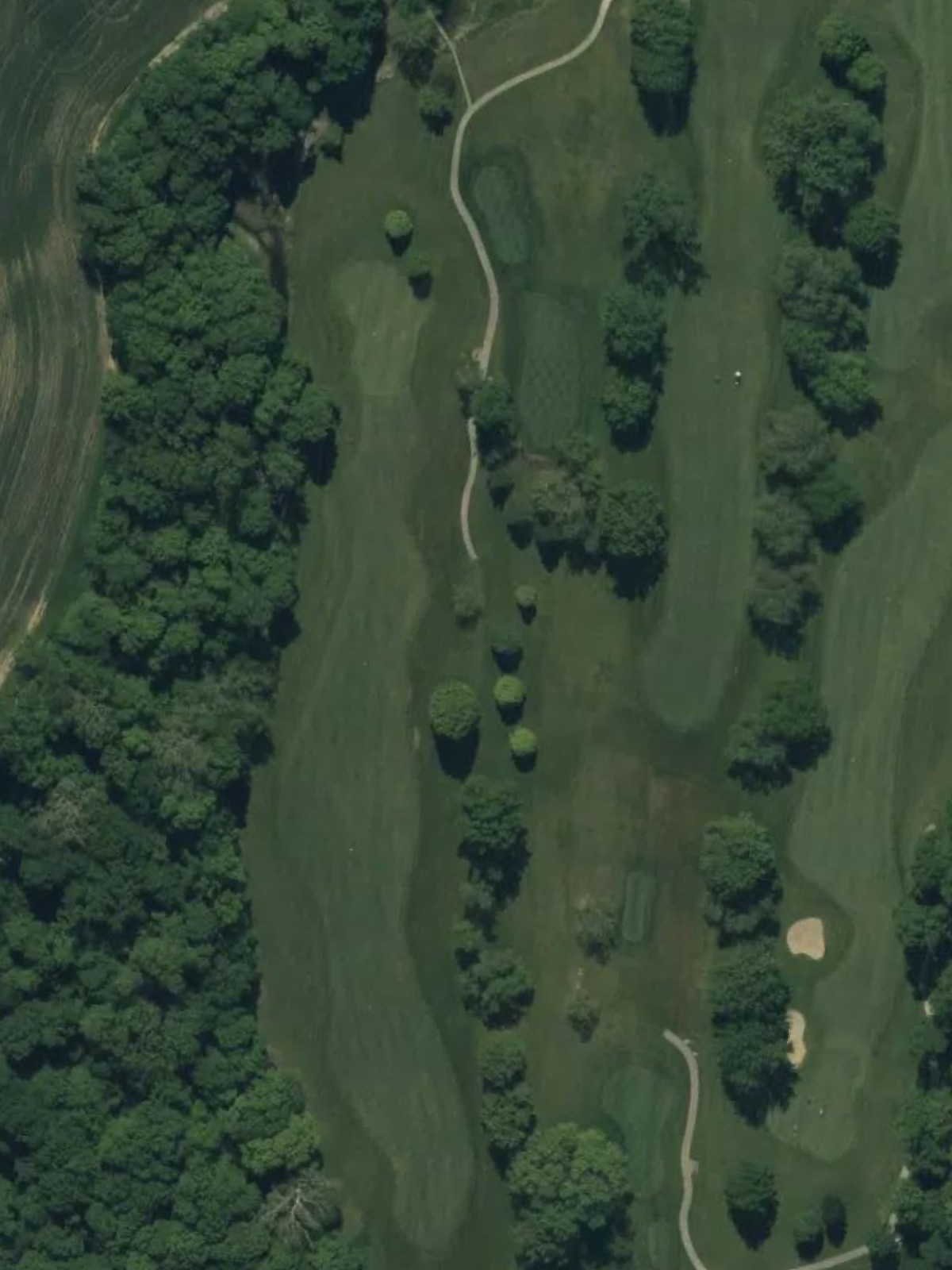 Hole 7 satellite