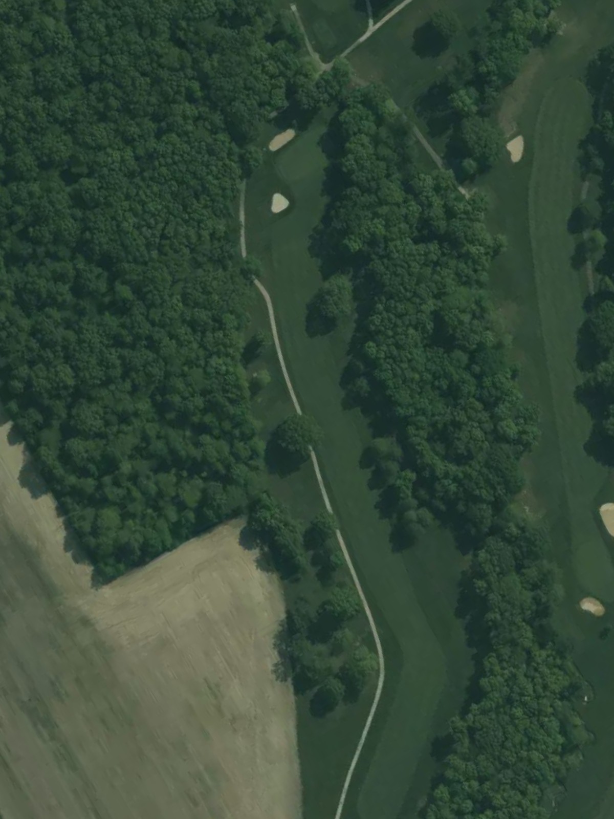 Hole 15 satellite