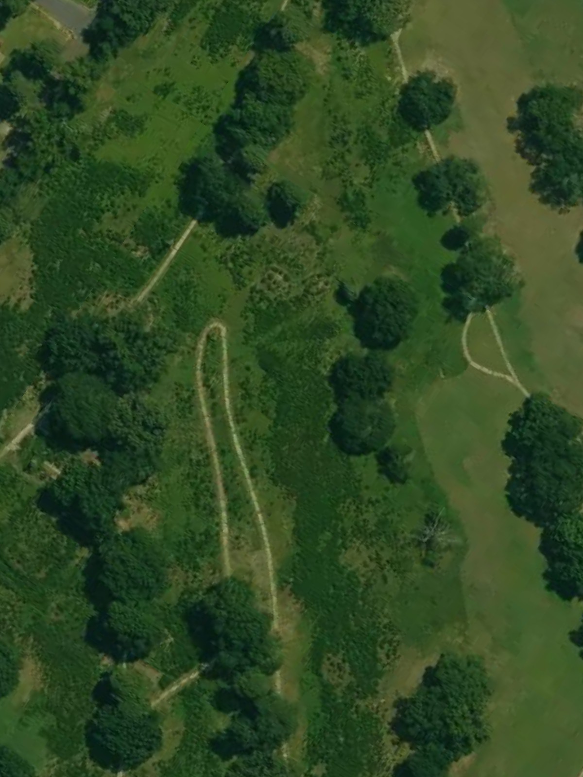 Hole 4 satellite