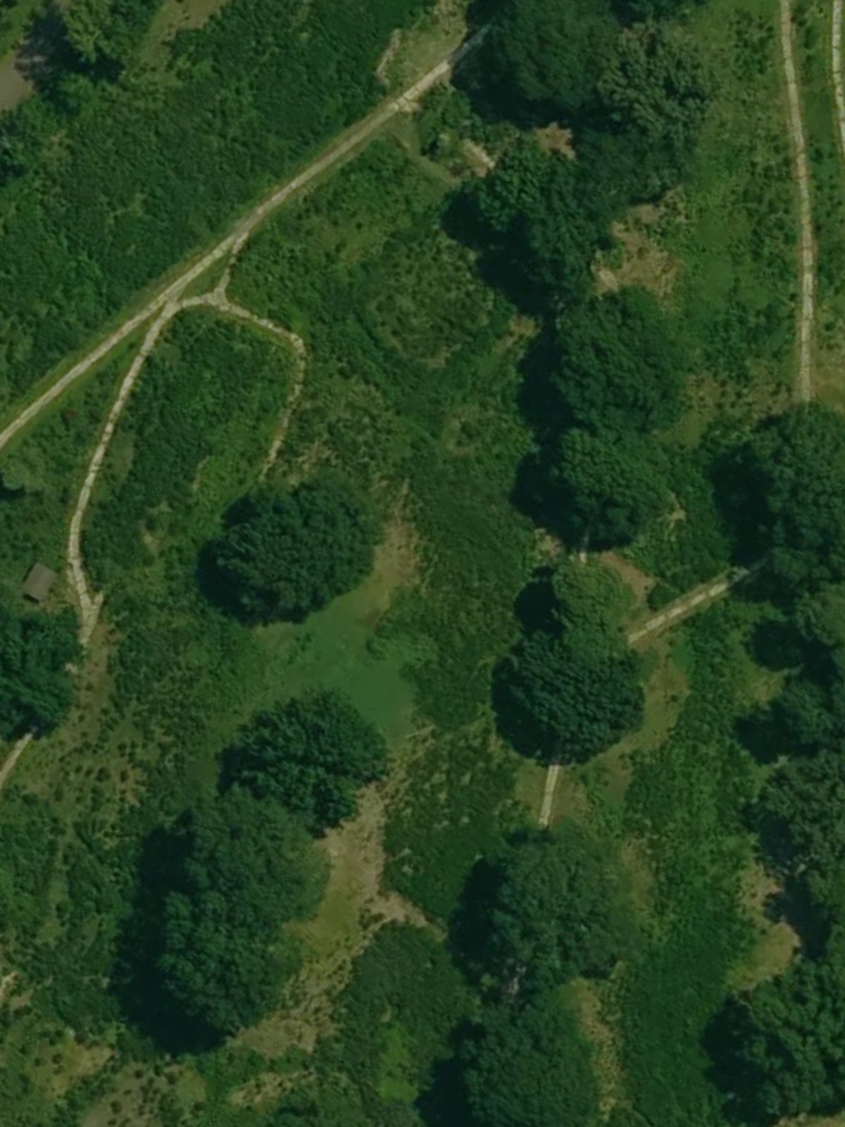 Hole 6 satellite