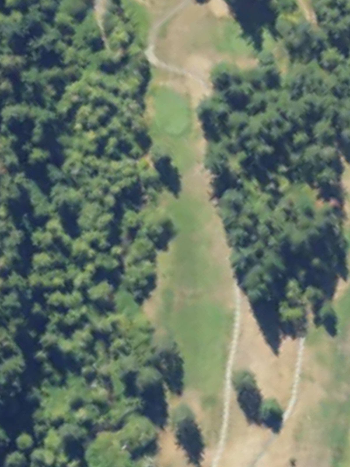 Hole 12 satellite