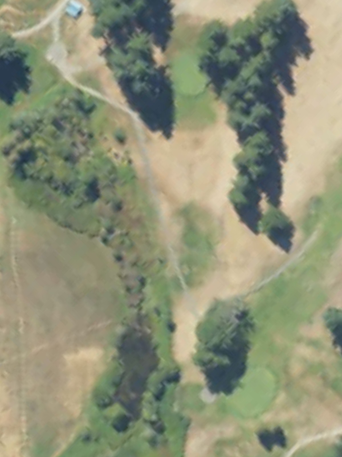 Hole 7 satellite