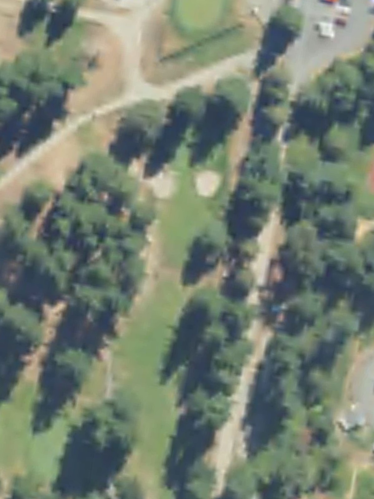 Hole 9 satellite