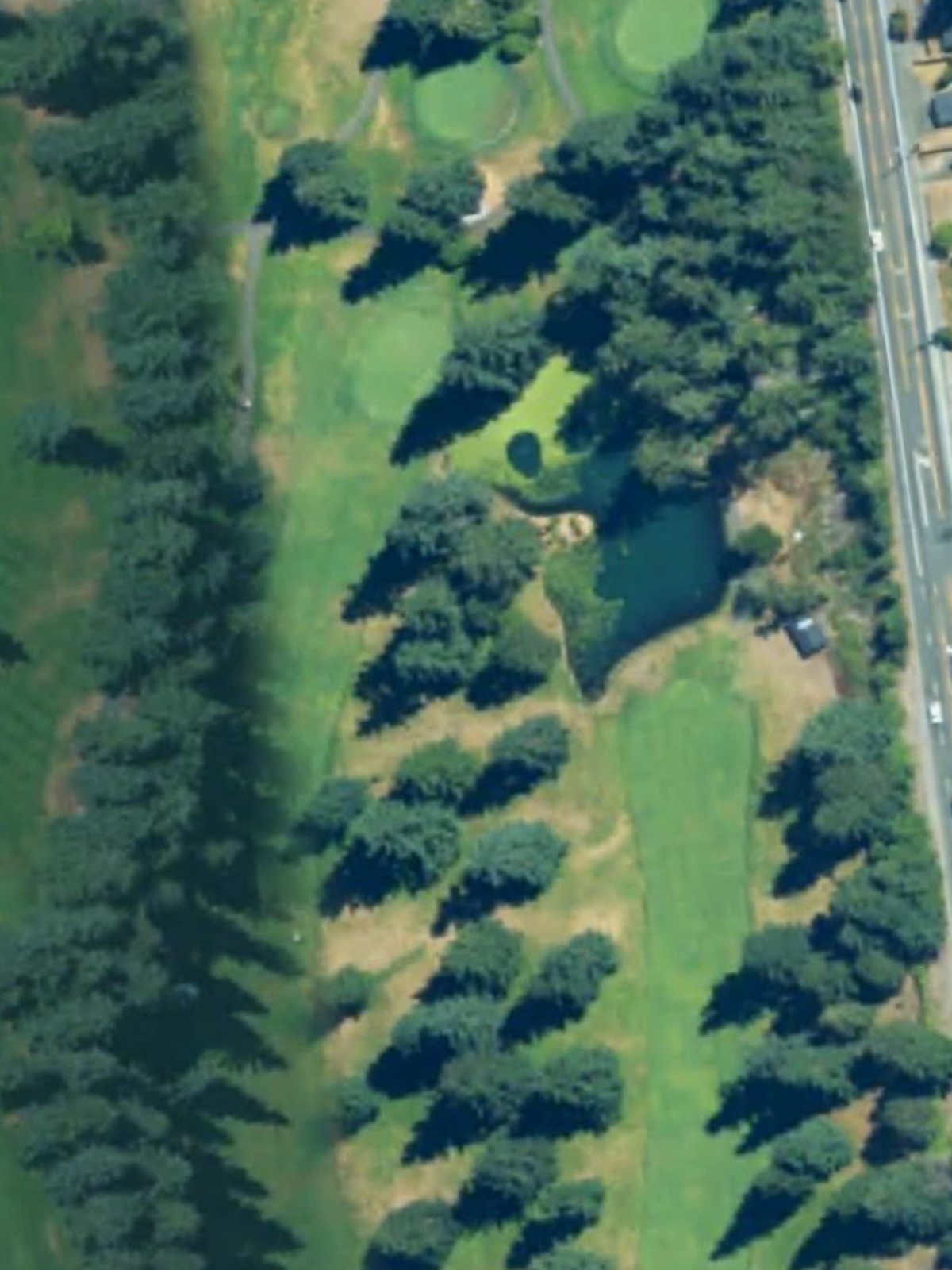 Hole 6 satellite
