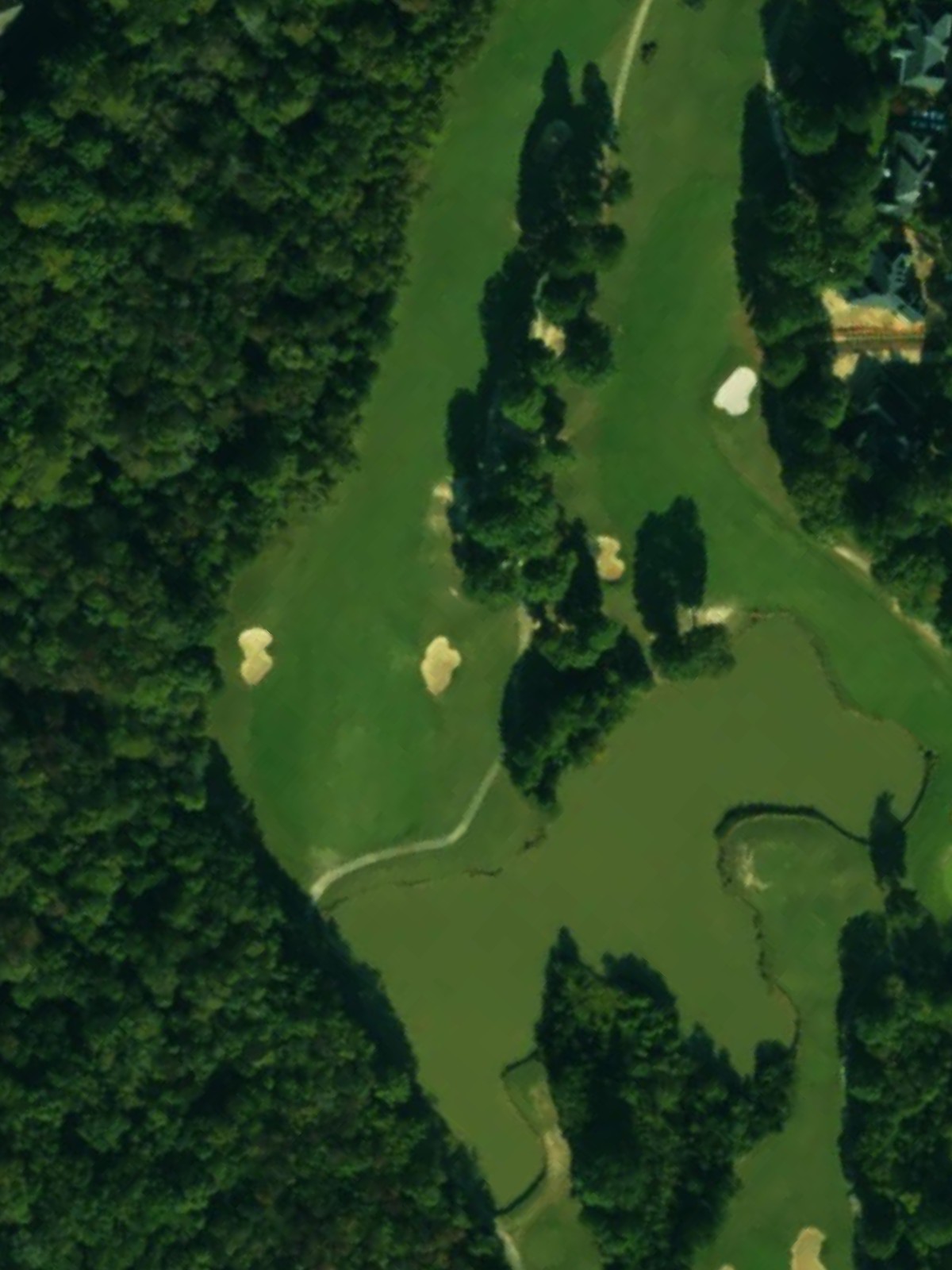 Hole 15 satellite