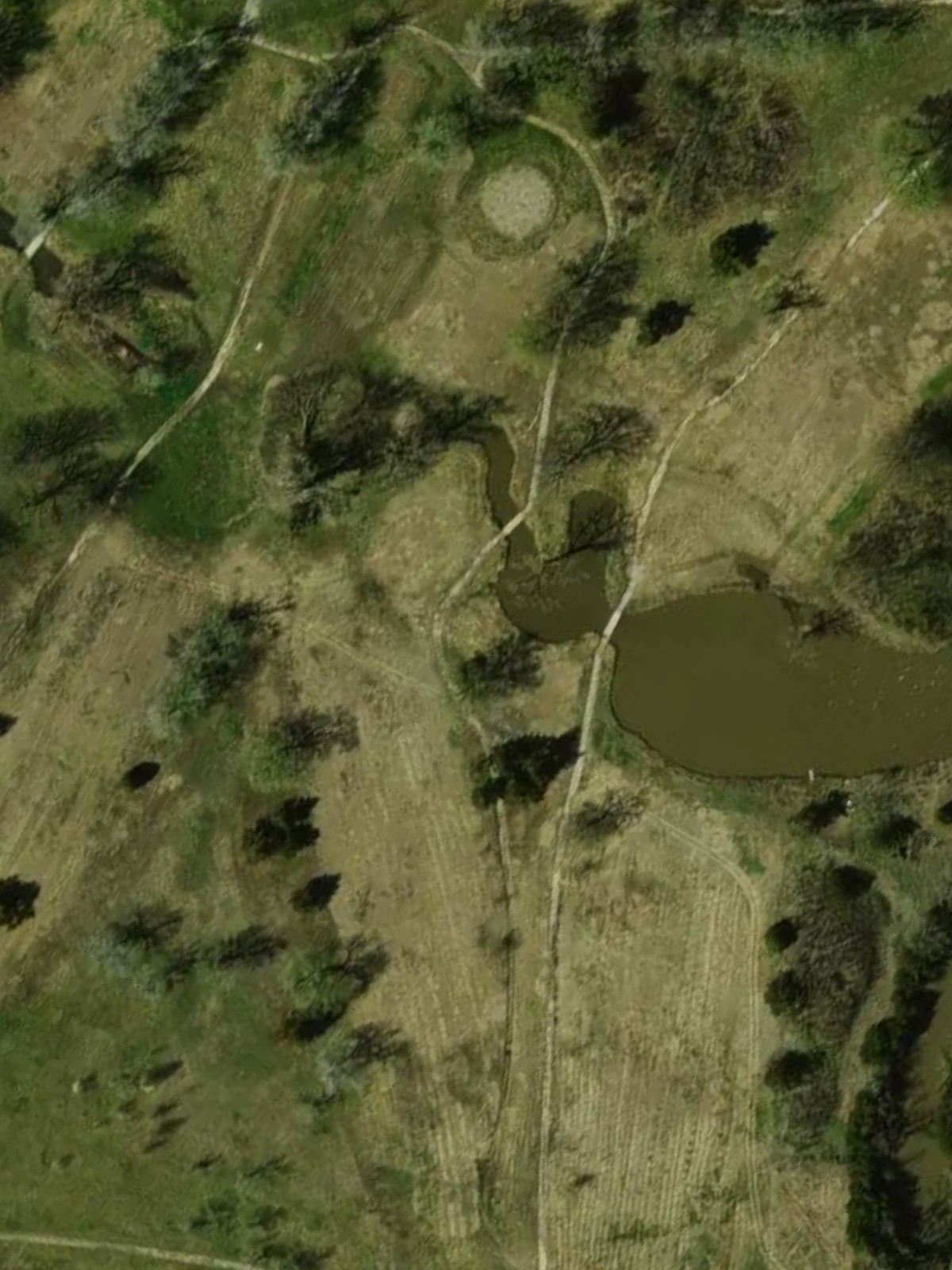 Hole 7 satellite