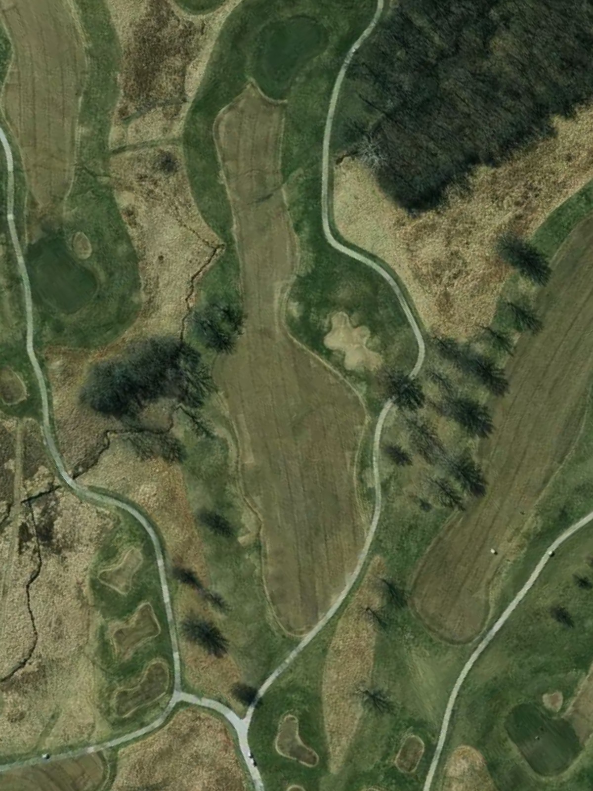 Hole 1 satellite