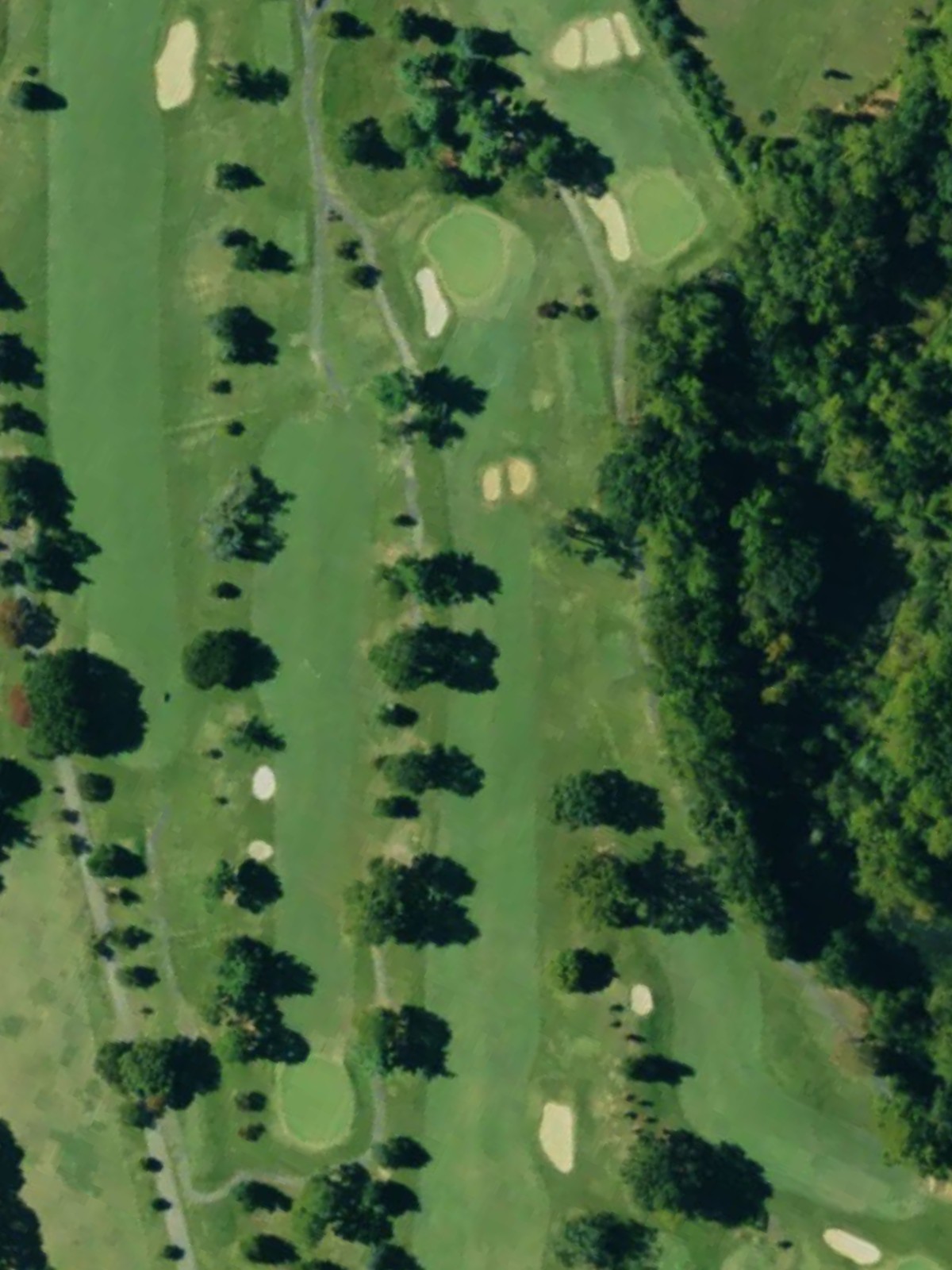 Hole 1 satellite