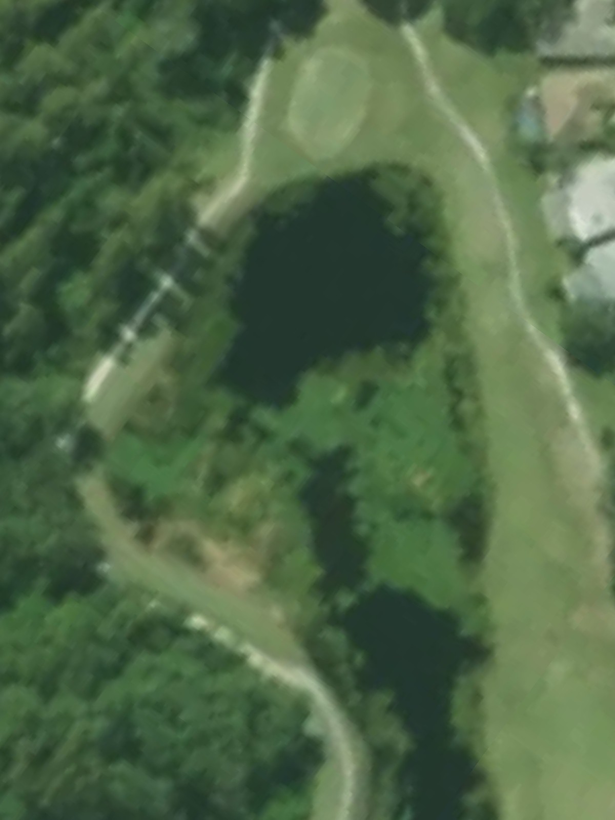 Hole 8 satellite