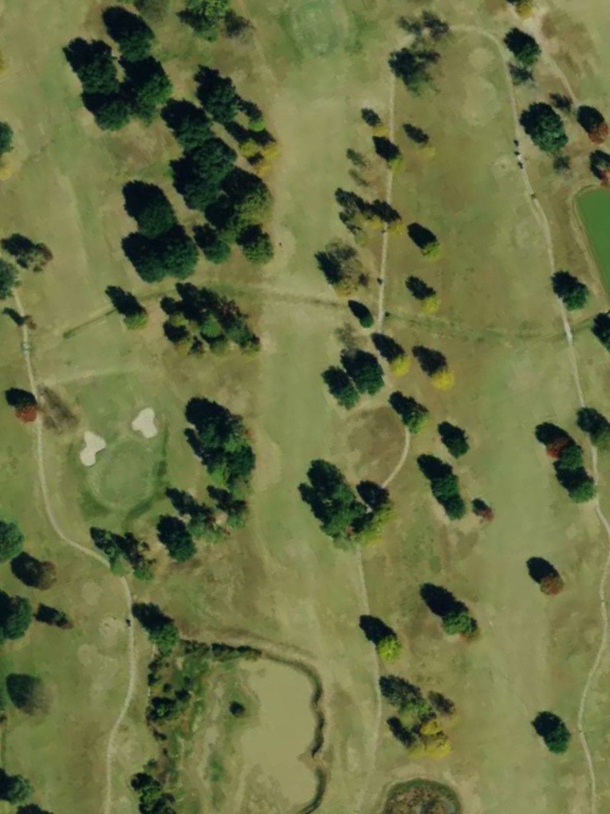 Hole 6 satellite