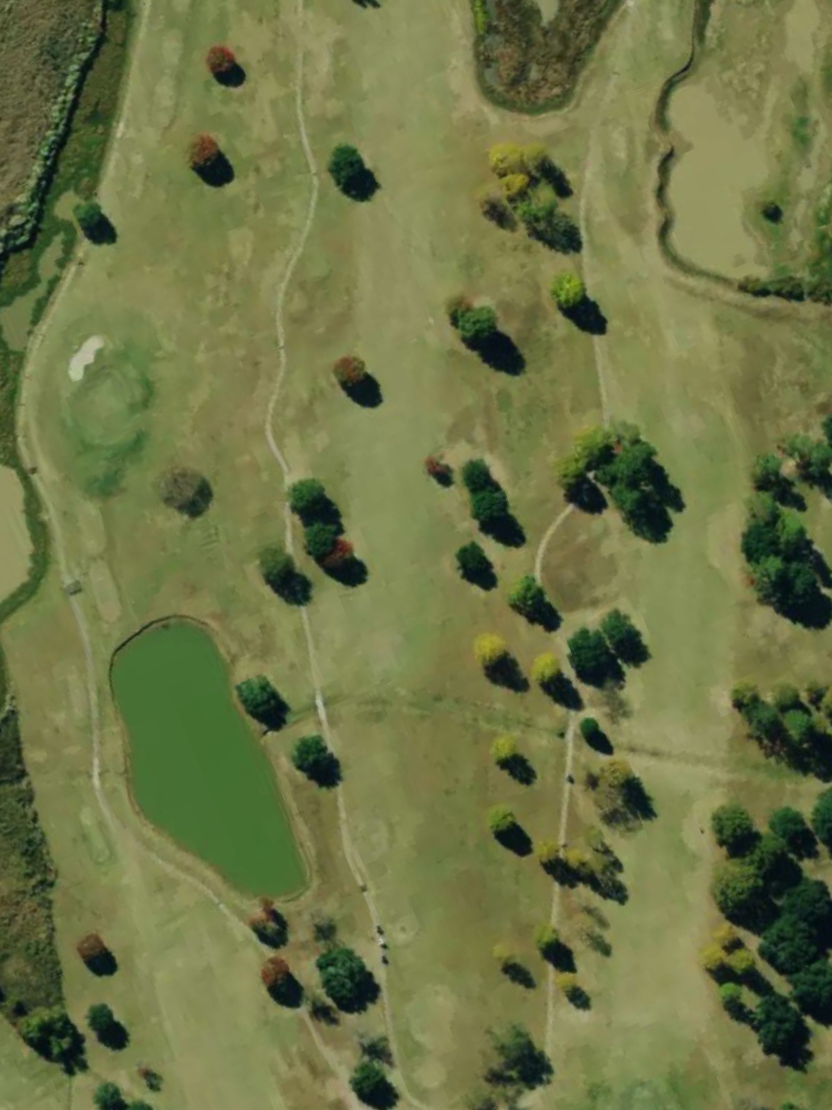 Hole 7 satellite