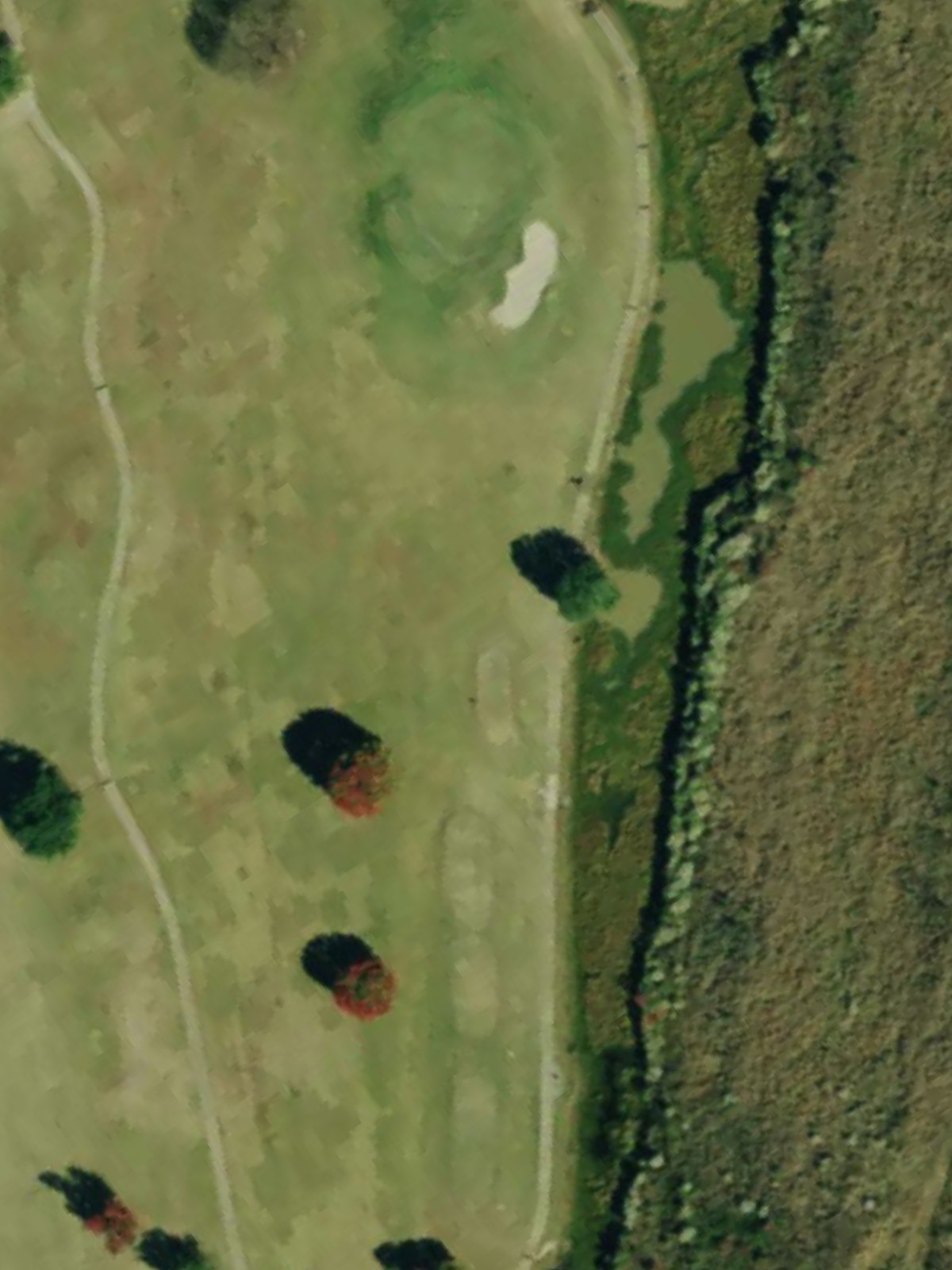 Hole 8 satellite