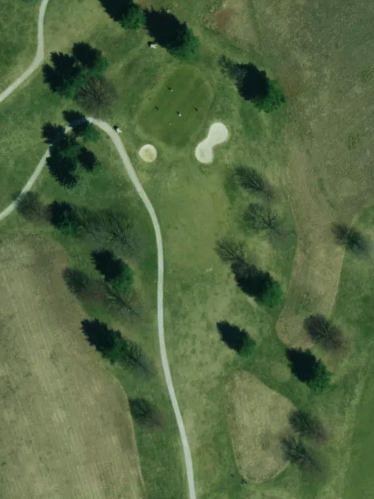 Hole 7 satellite