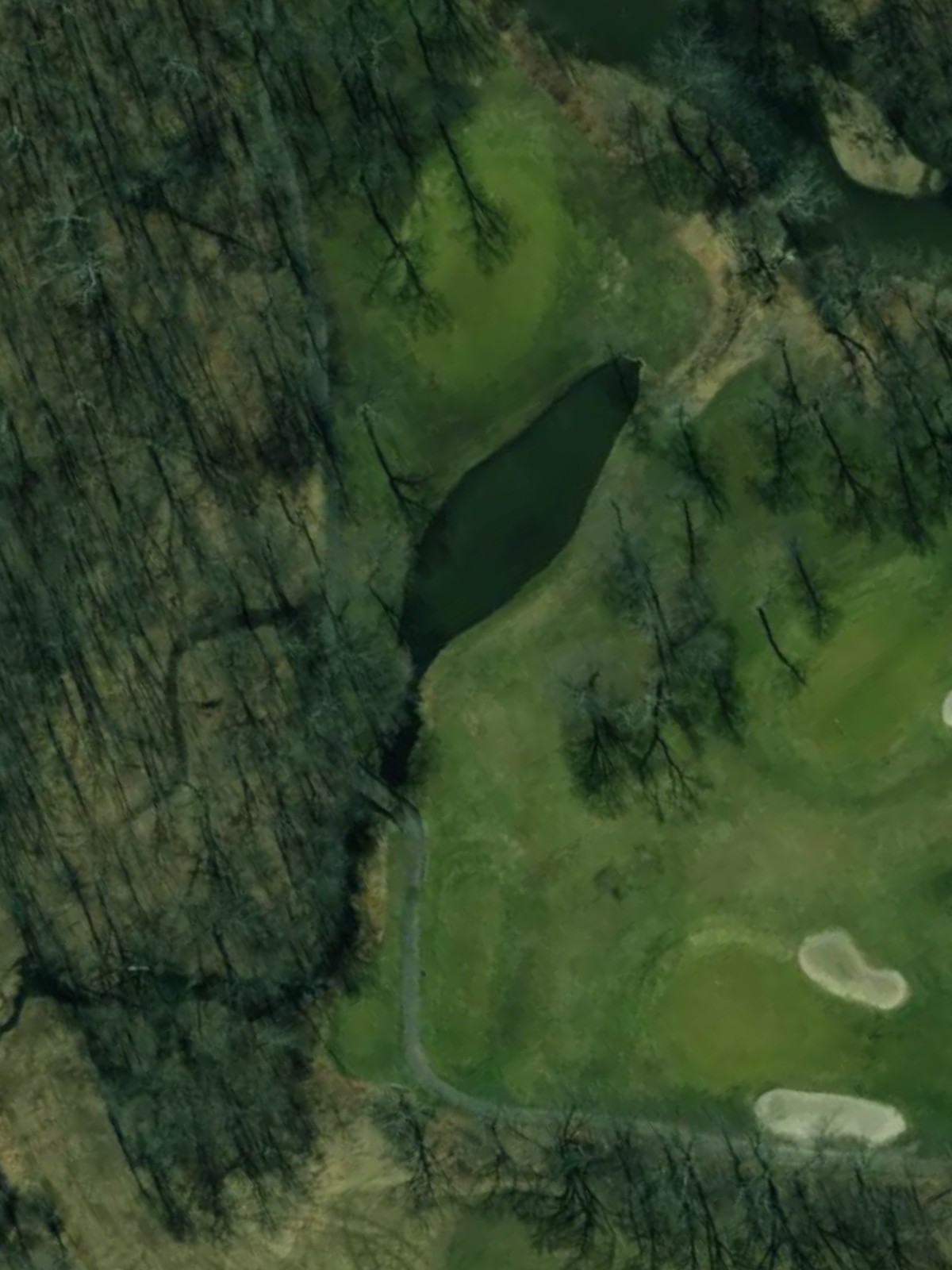 Hole 15 satellite