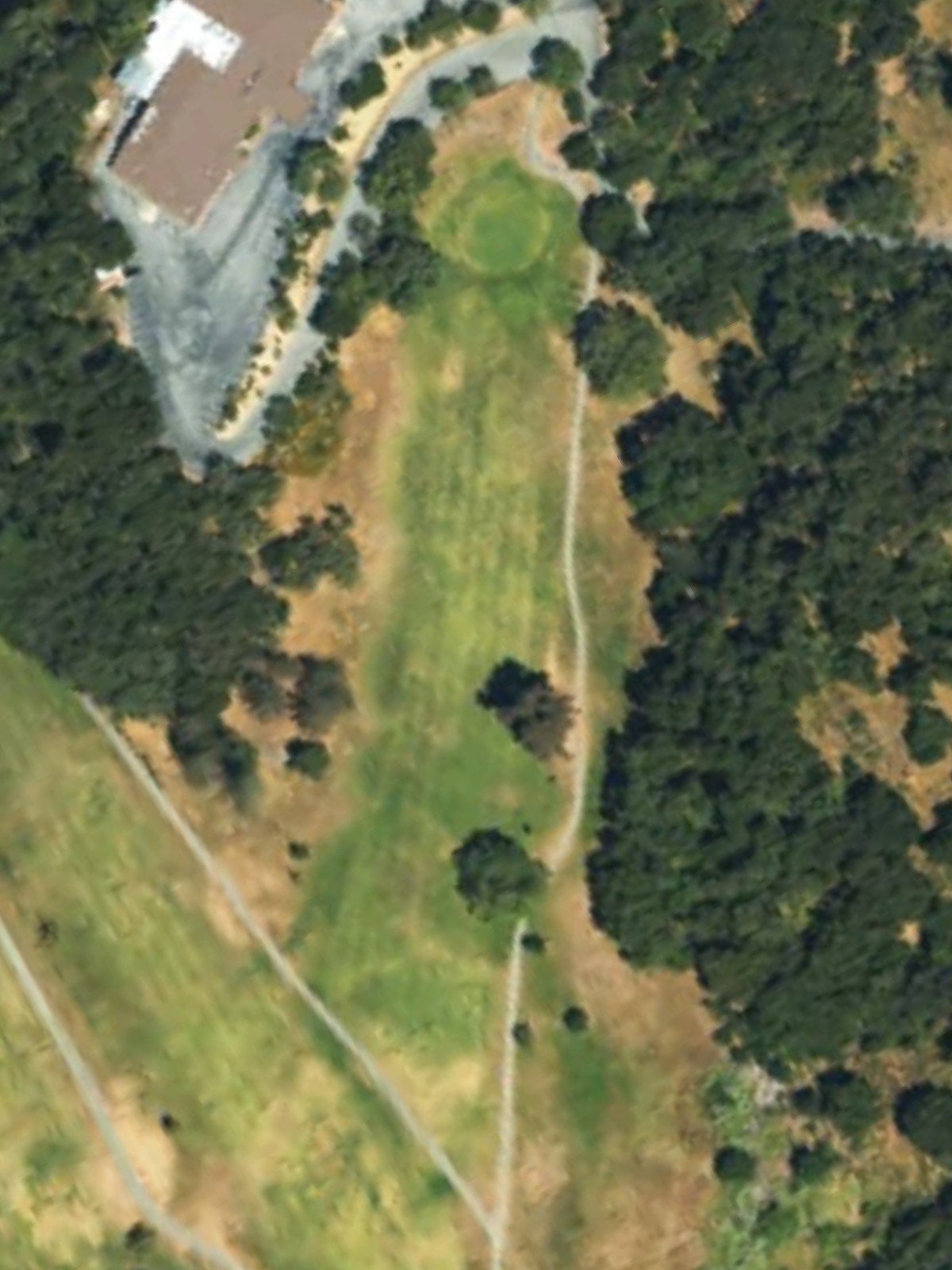 Hole 7 satellite
