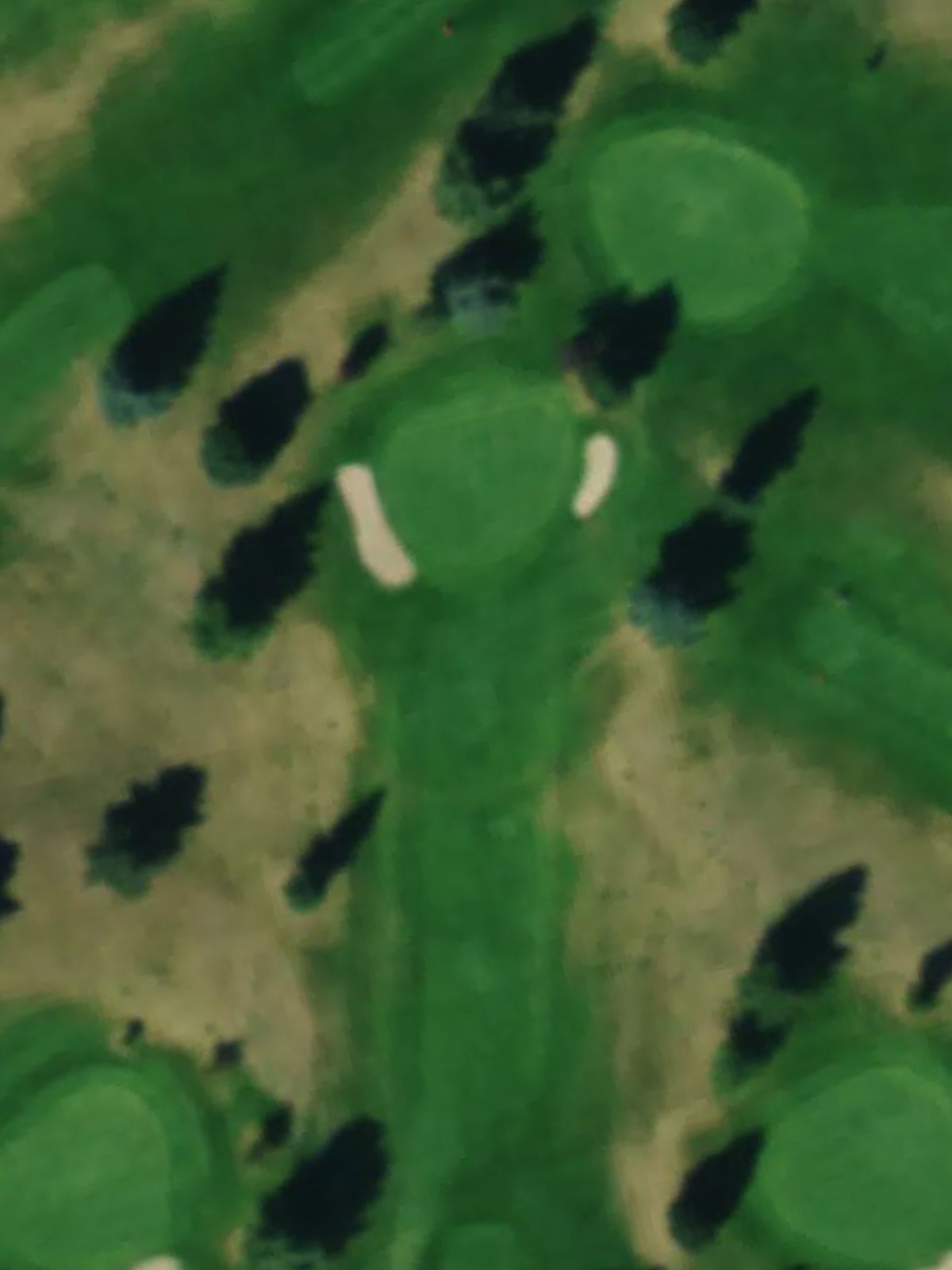 Hole 12 satellite