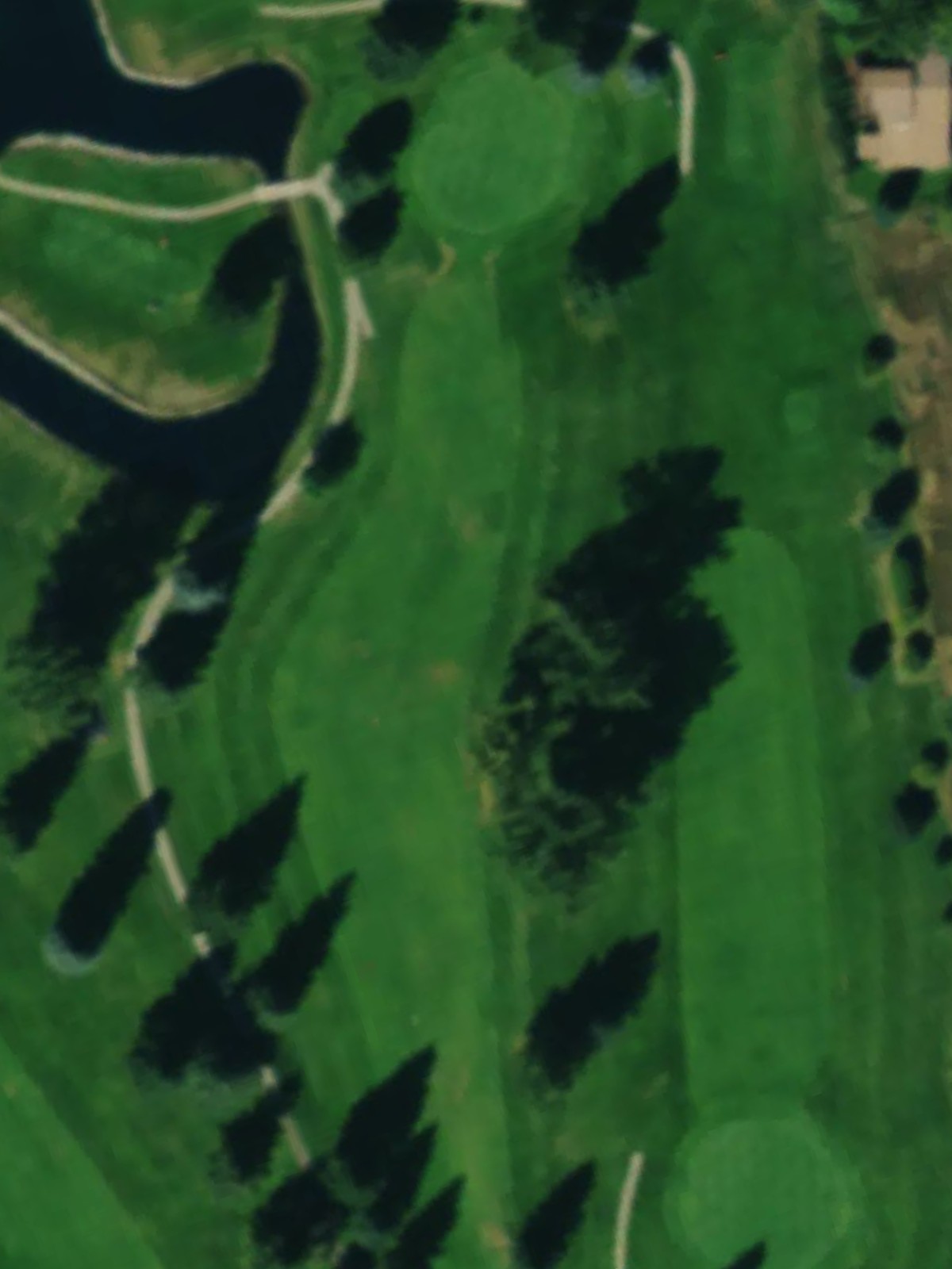 Hole 15 satellite