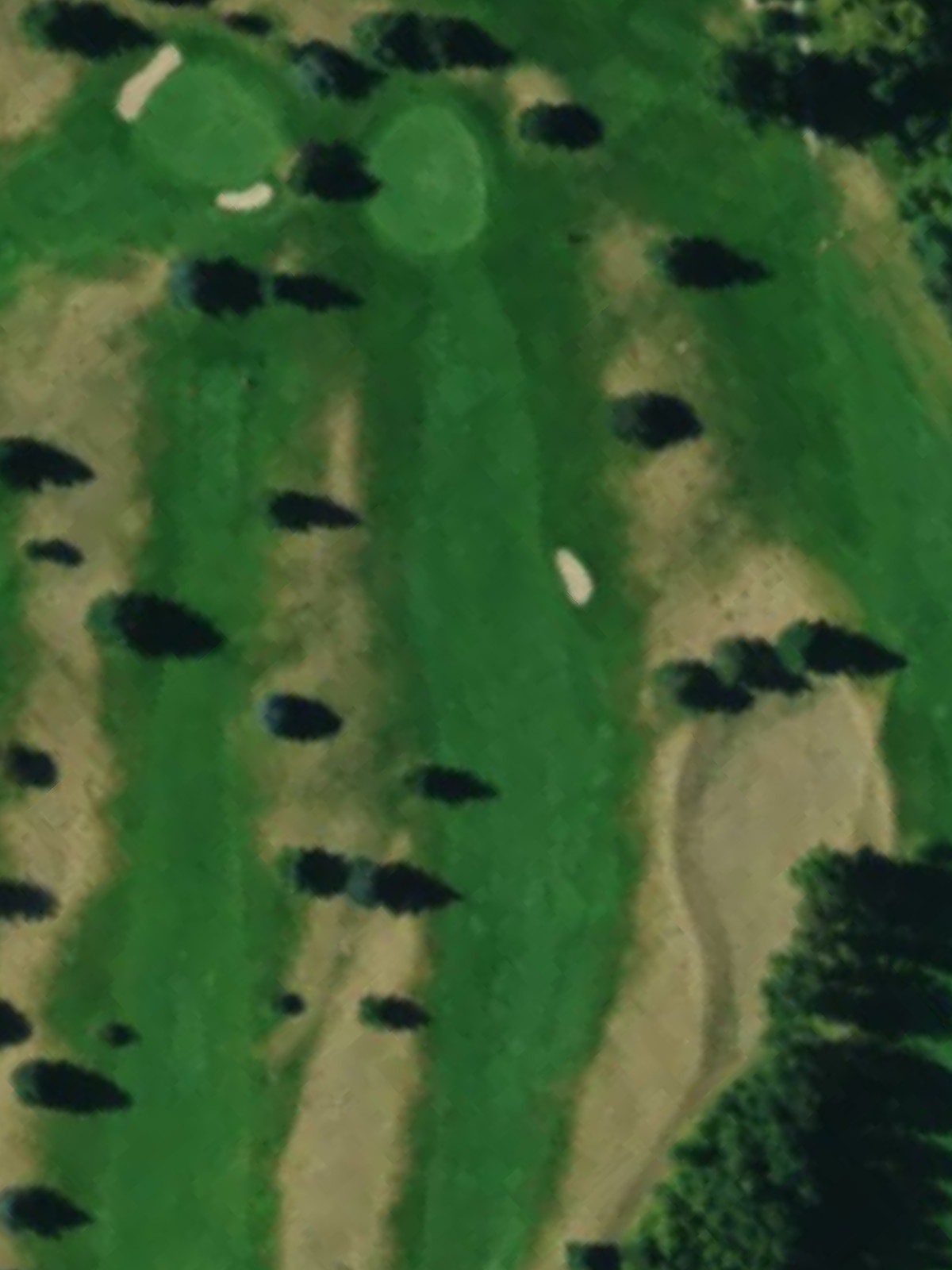 Hole 6 satellite