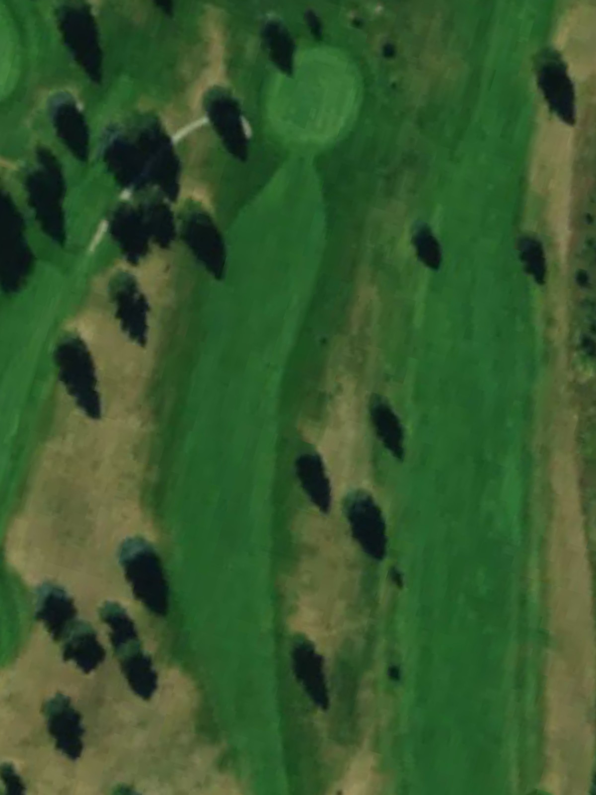 Hole 7 satellite