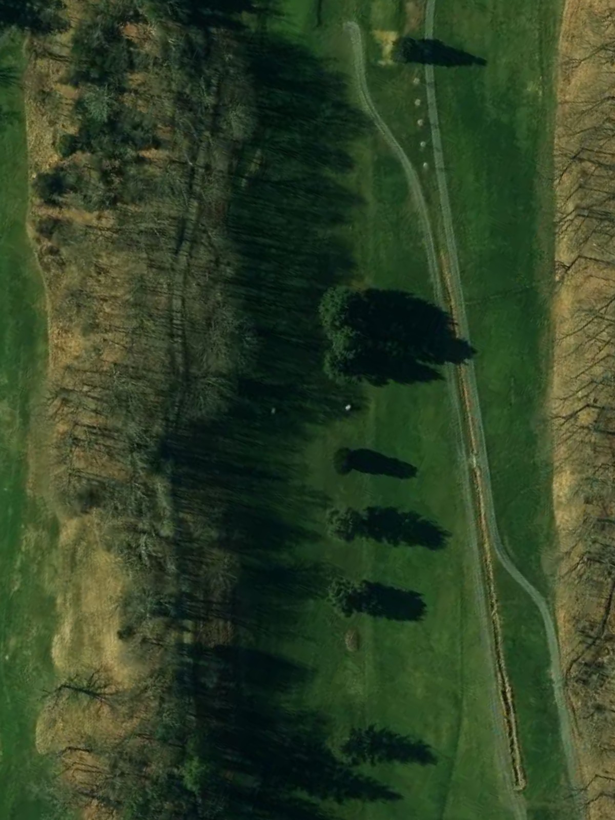 Hole 3 satellite