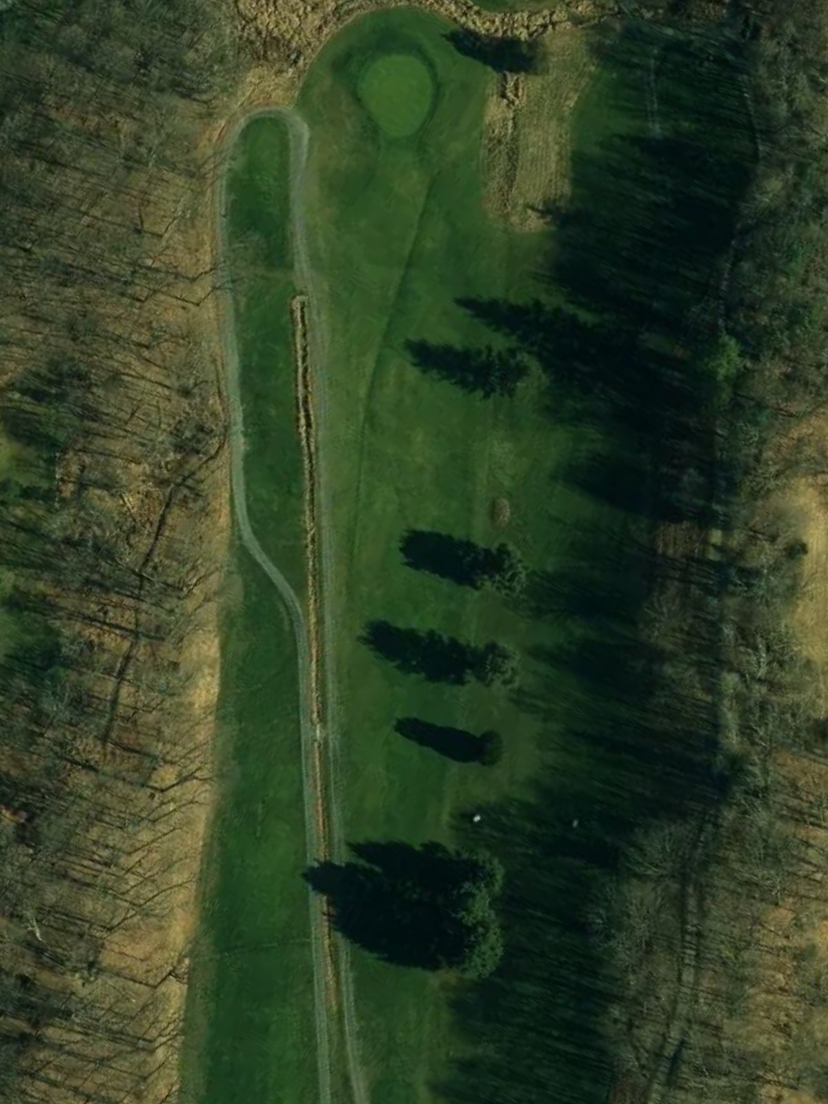 Hole 4 satellite