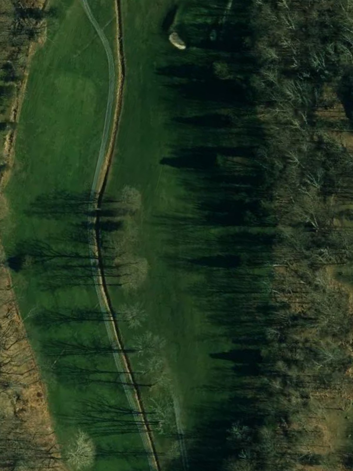 Hole 7 satellite